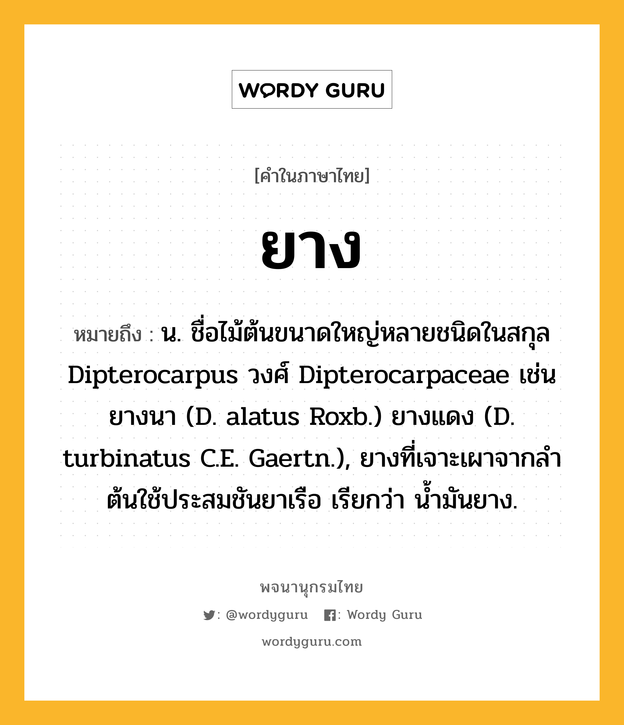 ยาง ความหมาย หมายถึงอะไร?, คำในภาษาไทย ยาง หมายถึง น. ชื่อไม้ต้นขนาดใหญ่หลายชนิดในสกุล Dipterocarpus วงศ์ Dipterocarpaceae เช่น ยางนา (D. alatus Roxb.) ยางแดง (D. turbinatus C.E. Gaertn.), ยางที่เจาะเผาจากลําต้นใช้ประสมชันยาเรือ เรียกว่า นํ้ามันยาง.