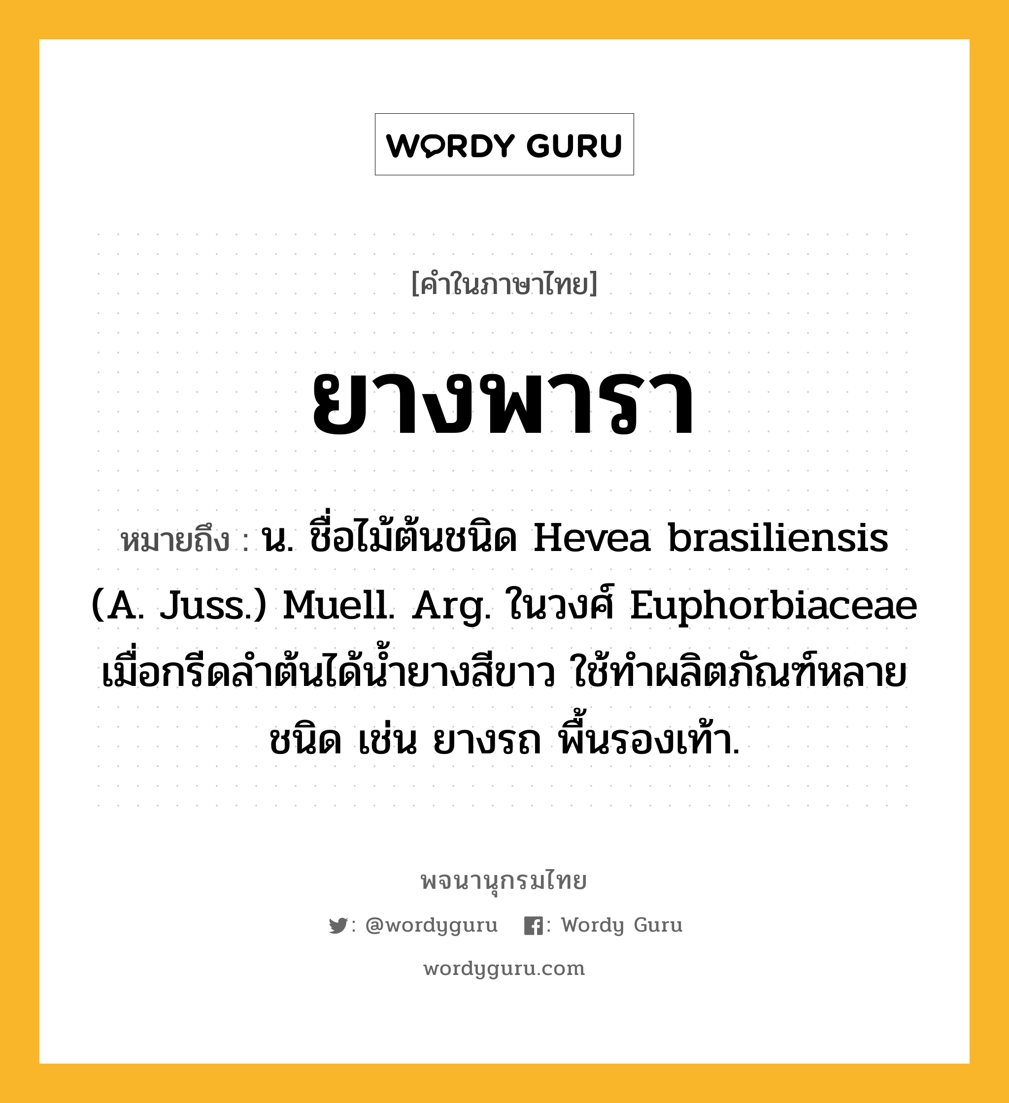 ยางพารา ความหมาย หมายถึงอะไร?, คำในภาษาไทย ยางพารา หมายถึง น. ชื่อไม้ต้นชนิด Hevea brasiliensis (A. Juss.) Muell. Arg. ในวงศ์ Euphorbiaceae เมื่อกรีดลําต้นได้นํ้ายางสีขาว ใช้ทําผลิตภัณฑ์หลายชนิด เช่น ยางรถ พื้นรองเท้า.