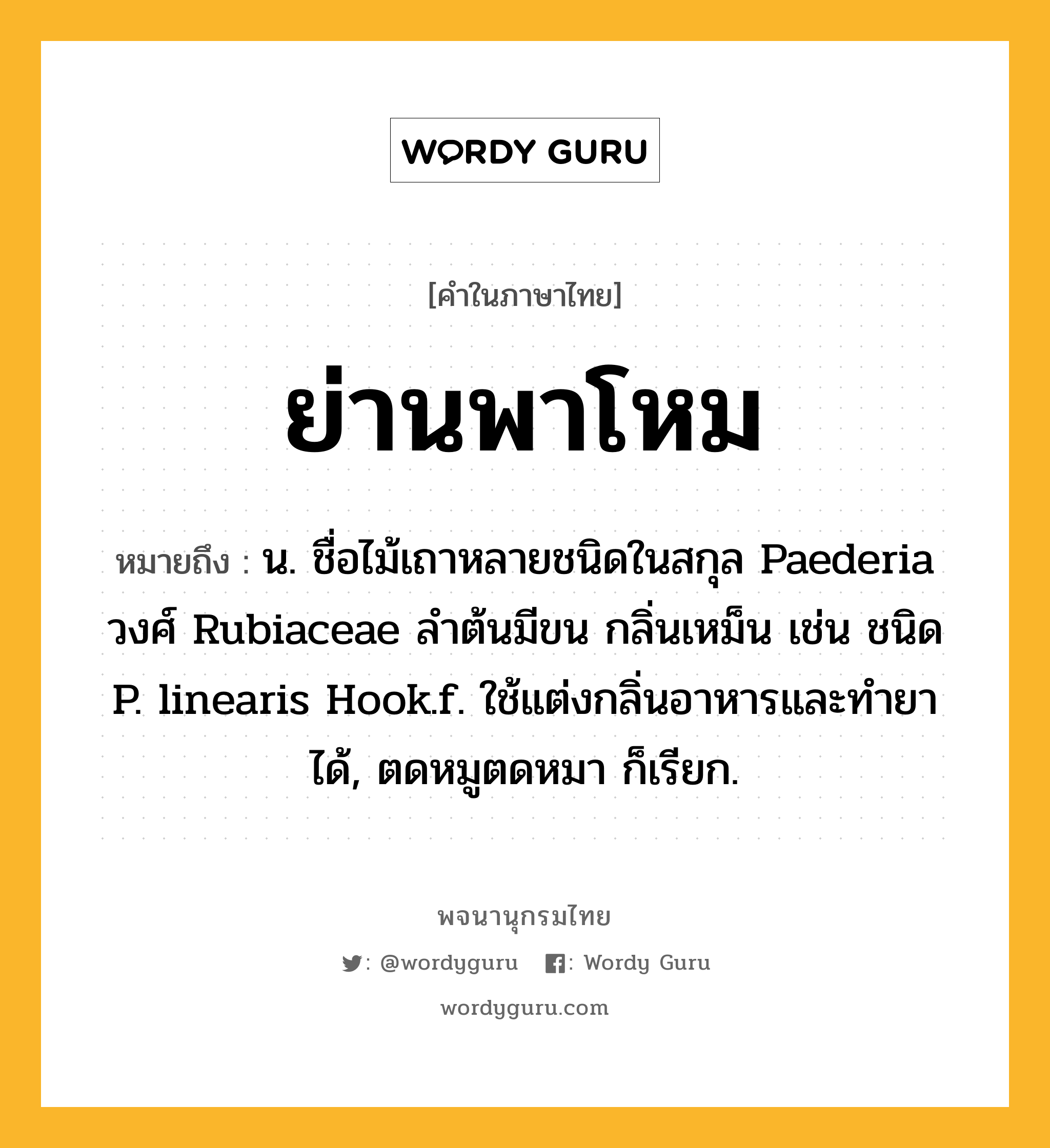 ย่านพาโหม ความหมาย หมายถึงอะไร?, คำในภาษาไทย ย่านพาโหม หมายถึง น. ชื่อไม้เถาหลายชนิดในสกุล Paederia วงศ์ Rubiaceae ลำต้นมีขน กลิ่นเหม็น เช่น ชนิด P. linearis Hook.f. ใช้แต่งกลิ่นอาหารและทำยาได้, ตดหมูตดหมา ก็เรียก.