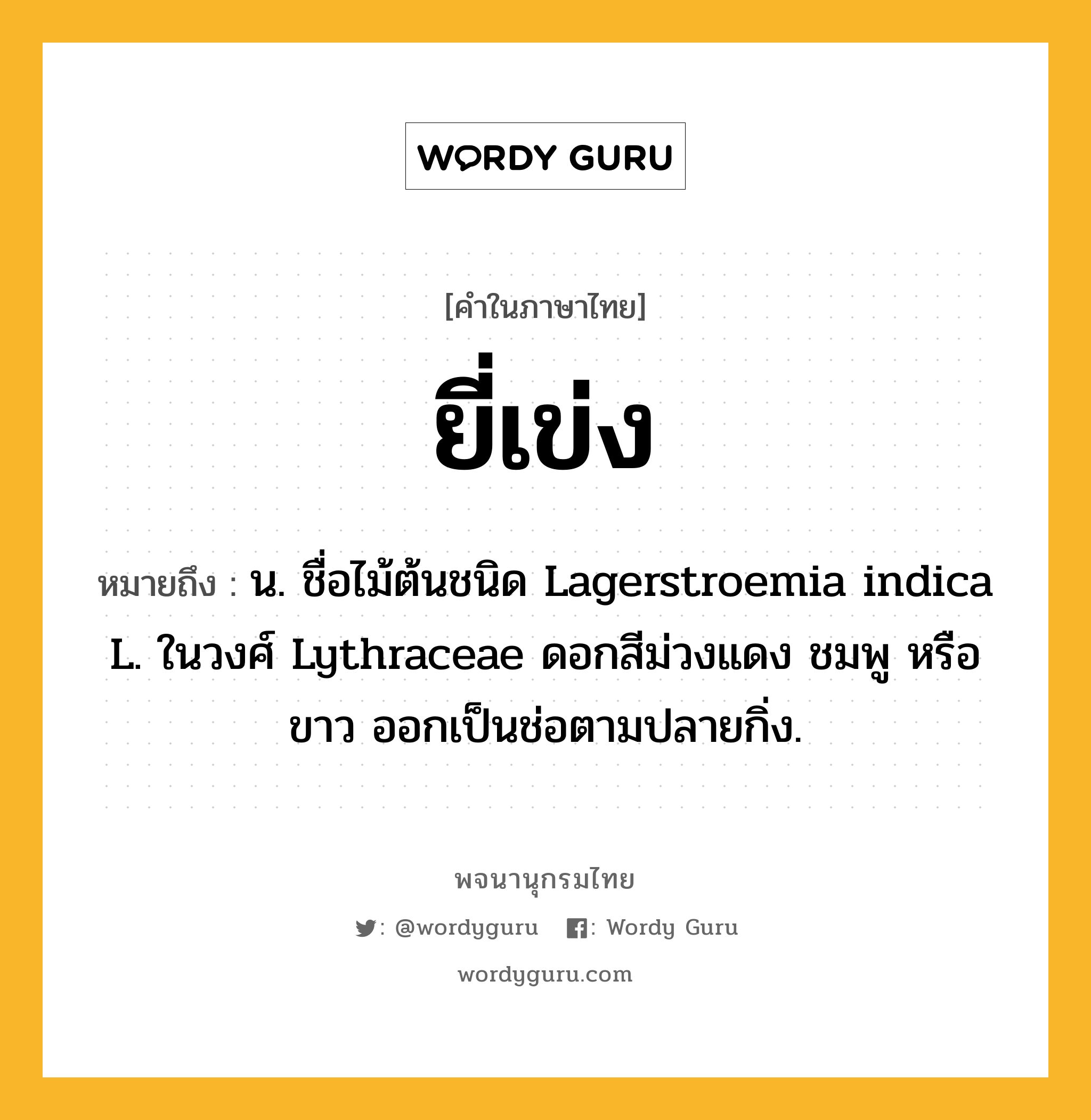 ยี่เข่ง ความหมาย หมายถึงอะไร?, คำในภาษาไทย ยี่เข่ง หมายถึง น. ชื่อไม้ต้นชนิด Lagerstroemia indica L. ในวงศ์ Lythraceae ดอกสีม่วงแดง ชมพู หรือขาว ออกเป็นช่อตามปลายกิ่ง.