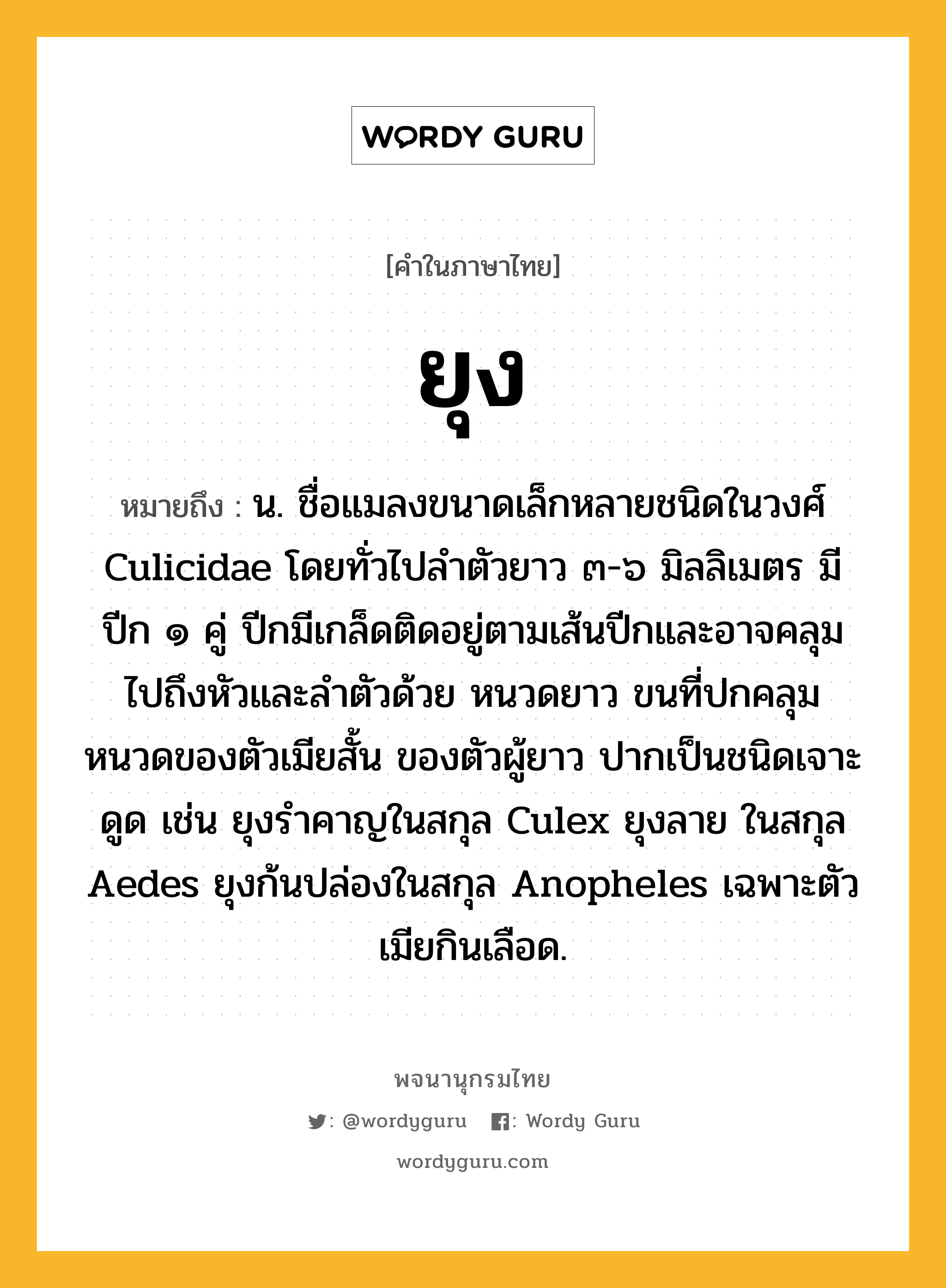 ยุง ความหมาย หมายถึงอะไร?, คำในภาษาไทย ยุง หมายถึง น. ชื่อแมลงขนาดเล็กหลายชนิดในวงศ์ Culicidae โดยทั่วไปลําตัวยาว ๓-๖ มิลลิเมตร มีปีก ๑ คู่ ปีกมีเกล็ดติดอยู่ตามเส้นปีกและอาจคลุมไปถึงหัวและลําตัวด้วย หนวดยาว ขนที่ปกคลุมหนวดของตัวเมียสั้น ของตัวผู้ยาว ปากเป็นชนิดเจาะดูด เช่น ยุงรําคาญในสกุล Culex ยุงลาย ในสกุล Aedes ยุงก้นปล่องในสกุล Anopheles เฉพาะตัวเมียกินเลือด.