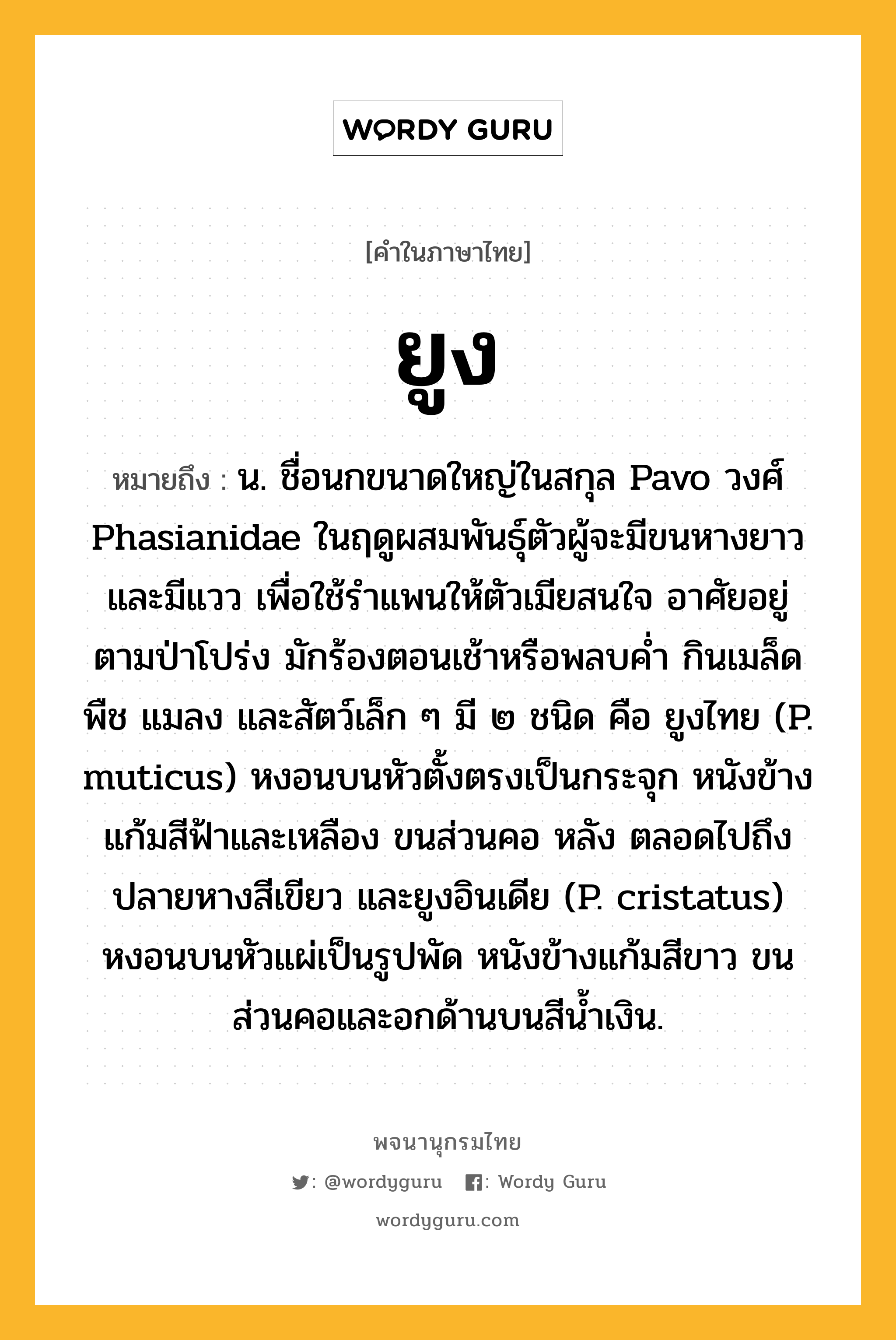 ยูง ความหมาย หมายถึงอะไร?, คำในภาษาไทย ยูง หมายถึง น. ชื่อนกขนาดใหญ่ในสกุล Pavo วงศ์ Phasianidae ในฤดูผสมพันธุ์ตัวผู้จะมีขนหางยาวและมีแวว เพื่อใช้รําแพนให้ตัวเมียสนใจ อาศัยอยู่ตามป่าโปร่ง มักร้องตอนเช้าหรือพลบคํ่า กินเมล็ดพืช แมลง และสัตว์เล็ก ๆ มี ๒ ชนิด คือ ยูงไทย (P. muticus) หงอนบนหัวตั้งตรงเป็นกระจุก หนังข้างแก้มสีฟ้าและเหลือง ขนส่วนคอ หลัง ตลอดไปถึงปลายหางสีเขียว และยูงอินเดีย (P. cristatus) หงอนบนหัวแผ่เป็นรูปพัด หนังข้างแก้มสีขาว ขนส่วนคอและอกด้านบนสีนํ้าเงิน.