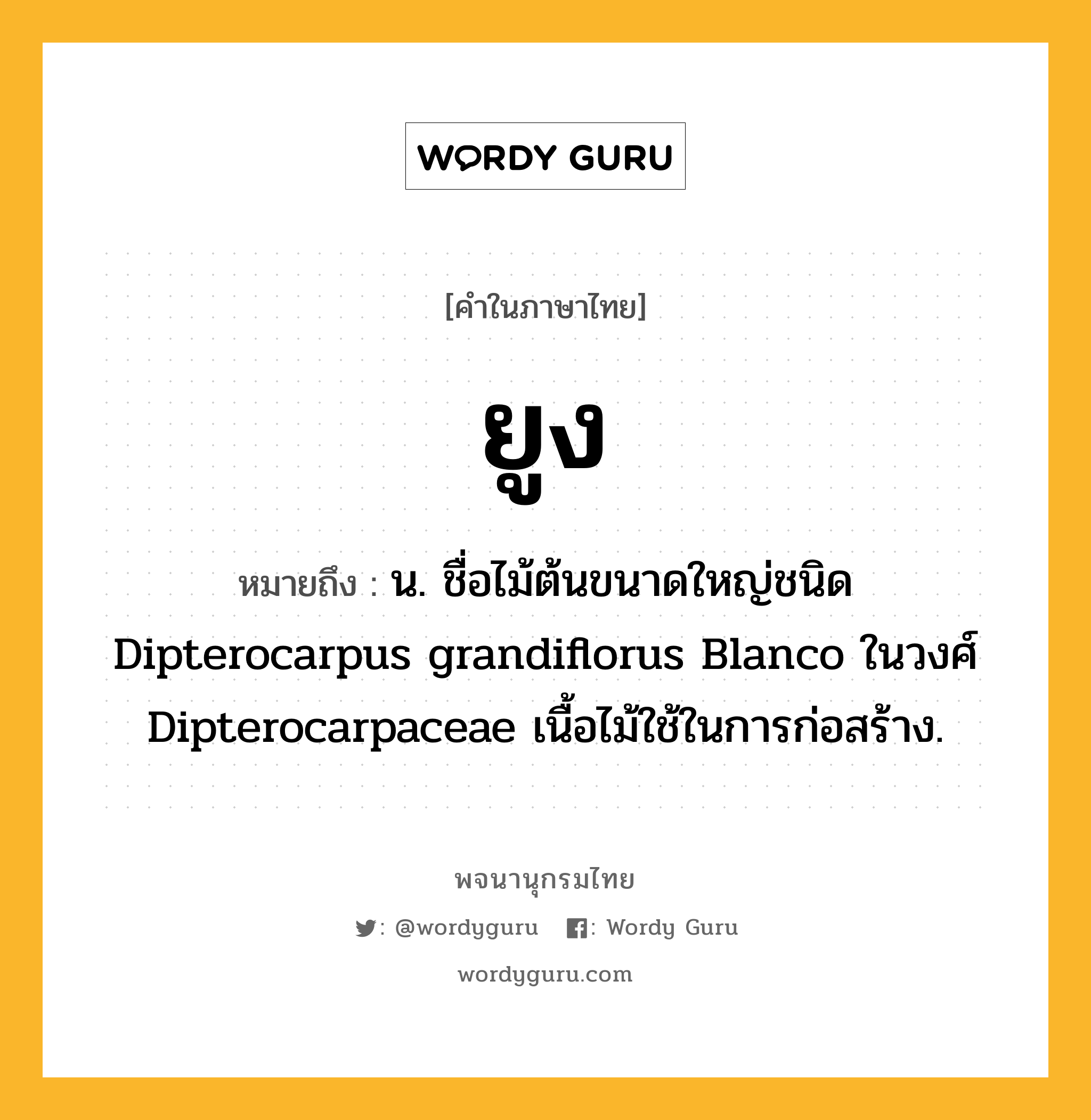 ยูง ความหมาย หมายถึงอะไร?, คำในภาษาไทย ยูง หมายถึง น. ชื่อไม้ต้นขนาดใหญ่ชนิด Dipterocarpus grandiflorus Blanco ในวงศ์ Dipterocarpaceae เนื้อไม้ใช้ในการก่อสร้าง.