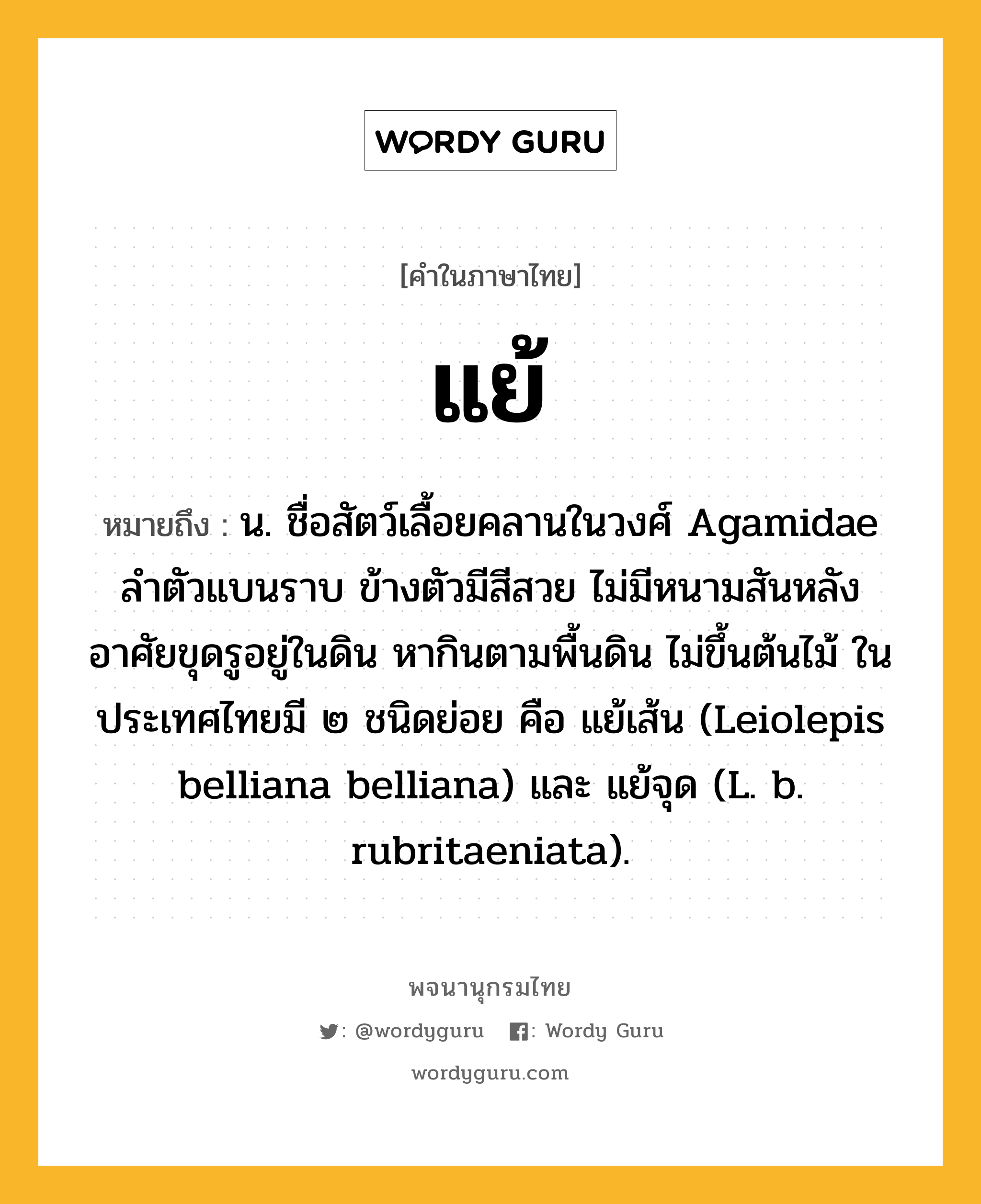 แย้ ความหมาย หมายถึงอะไร?, คำในภาษาไทย แย้ หมายถึง น. ชื่อสัตว์เลื้อยคลานในวงศ์ Agamidae ลําตัวแบนราบ ข้างตัวมีสีสวย ไม่มีหนามสันหลัง อาศัยขุดรูอยู่ในดิน หากินตามพื้นดิน ไม่ขึ้นต้นไม้ ในประเทศไทยมี ๒ ชนิดย่อย คือ แย้เส้น (Leiolepis belliana belliana) และ แย้จุด (L. b. rubritaeniata).