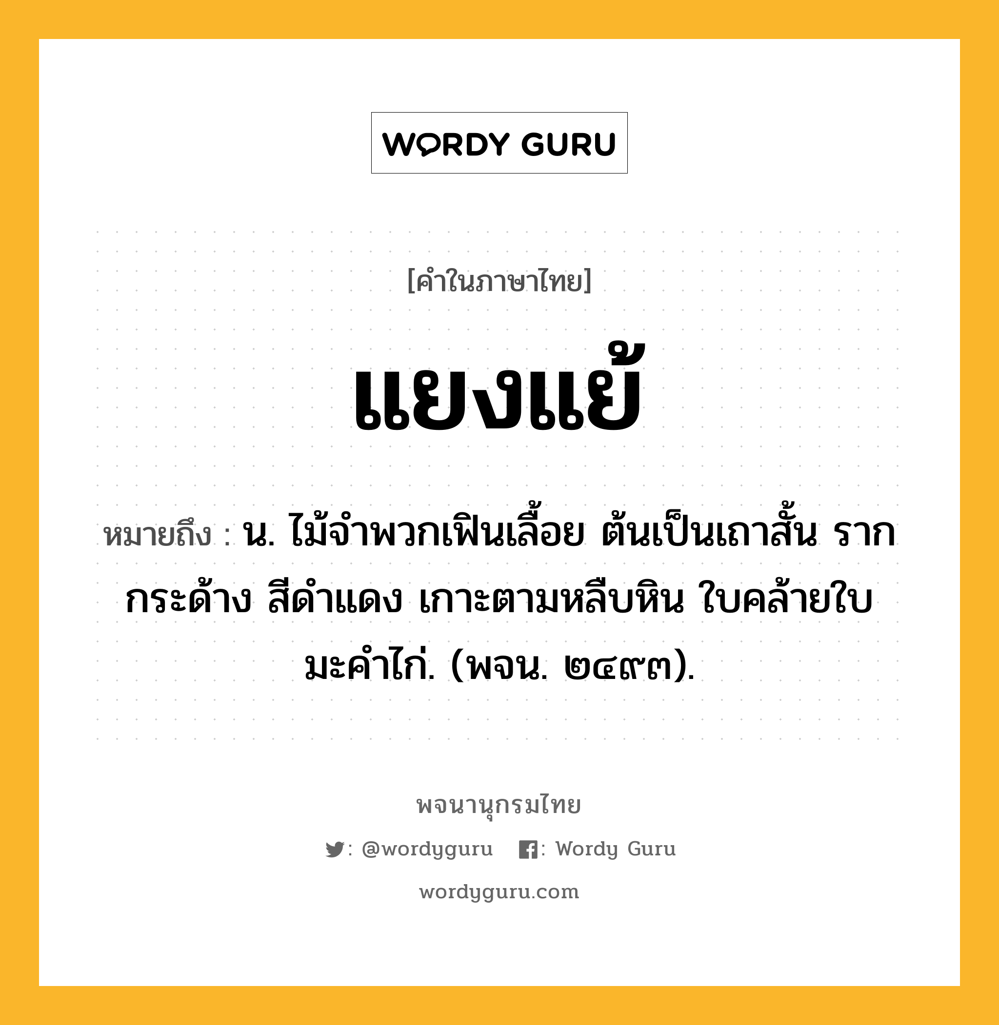 แยงแย้ ความหมาย หมายถึงอะไร?, คำในภาษาไทย แยงแย้ หมายถึง น. ไม้จําพวกเฟินเลื้อย ต้นเป็นเถาสั้น รากกระด้าง สีดําแดง เกาะตามหลืบหิน ใบคล้ายใบมะคําไก่. (พจน. ๒๔๙๓).