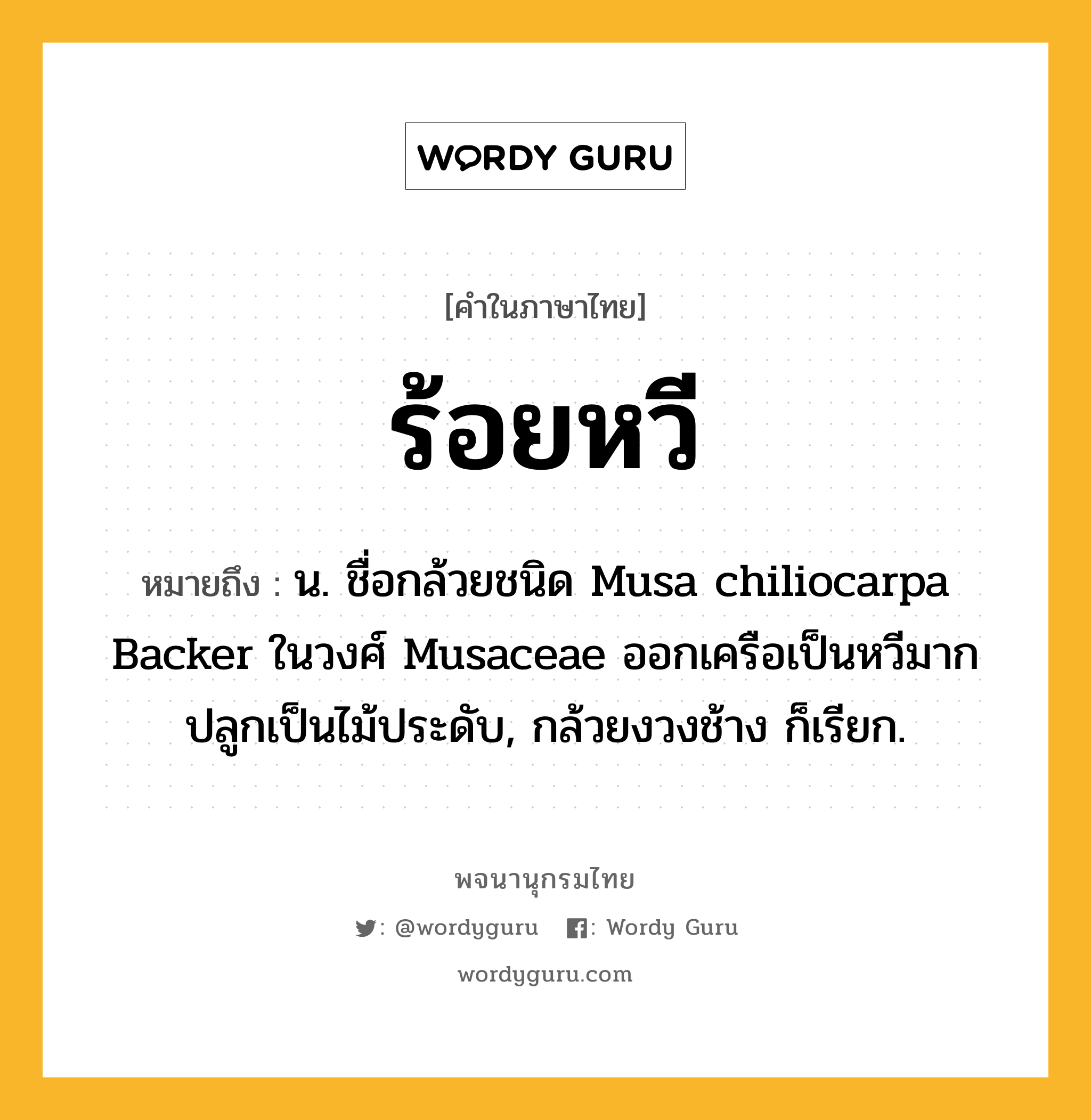 ร้อยหวี ความหมาย หมายถึงอะไร?, คำในภาษาไทย ร้อยหวี หมายถึง น. ชื่อกล้วยชนิด Musa chiliocarpa Backer ในวงศ์ Musaceae ออกเครือเป็นหวีมาก ปลูกเป็นไม้ประดับ, กล้วยงวงช้าง ก็เรียก.