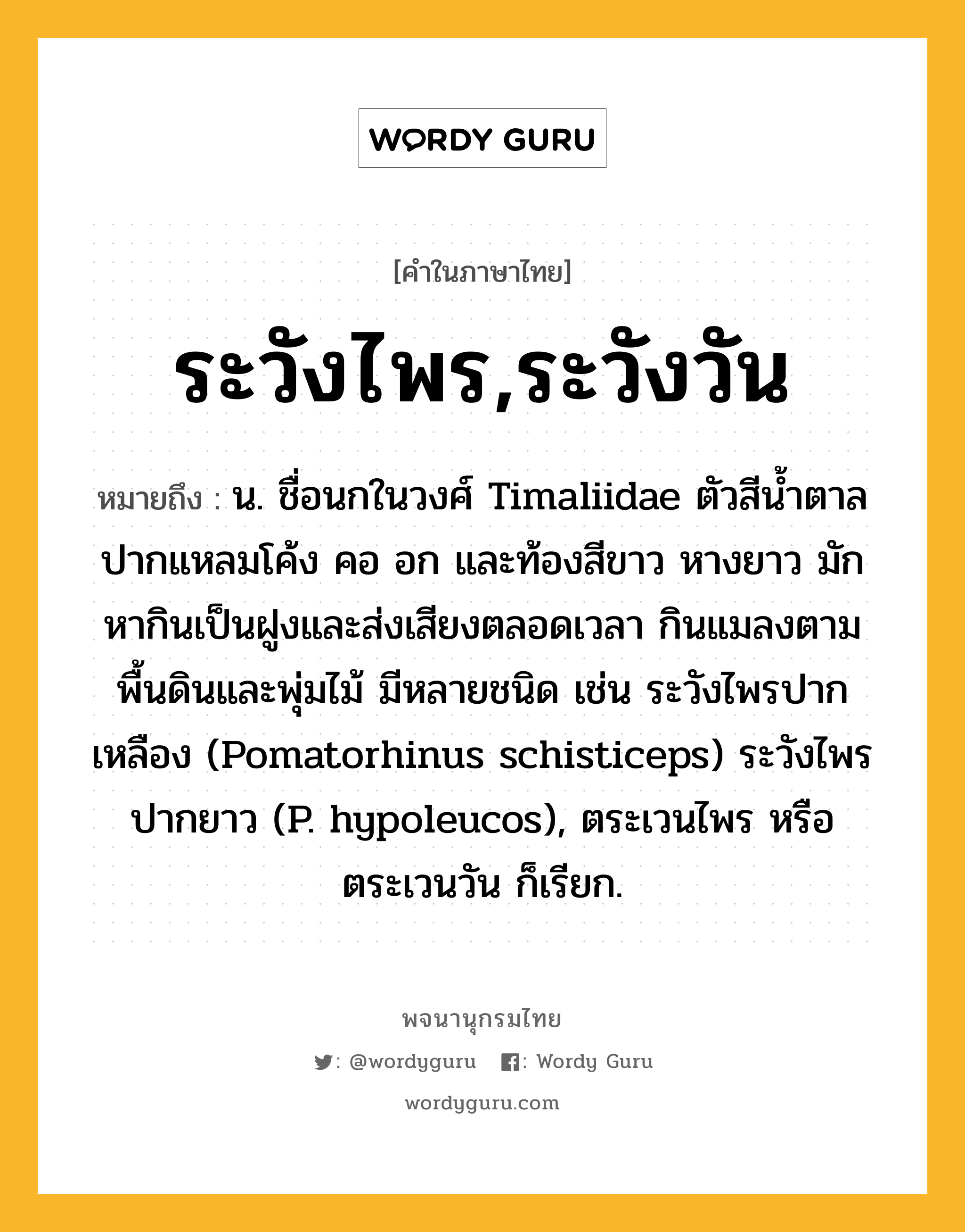 ระวังไพร,ระวังวัน ความหมาย หมายถึงอะไร?, คำในภาษาไทย ระวังไพร,ระวังวัน หมายถึง น. ชื่อนกในวงศ์ Timaliidae ตัวสีนํ้าตาล ปากแหลมโค้ง คอ อก และท้องสีขาว หางยาว มักหากินเป็นฝูงและส่งเสียงตลอดเวลา กินแมลงตามพื้นดินและพุ่มไม้ มีหลายชนิด เช่น ระวังไพรปากเหลือง (Pomatorhinus schisticeps) ระวังไพรปากยาว (P. hypoleucos), ตระเวนไพร หรือ ตระเวนวัน ก็เรียก.