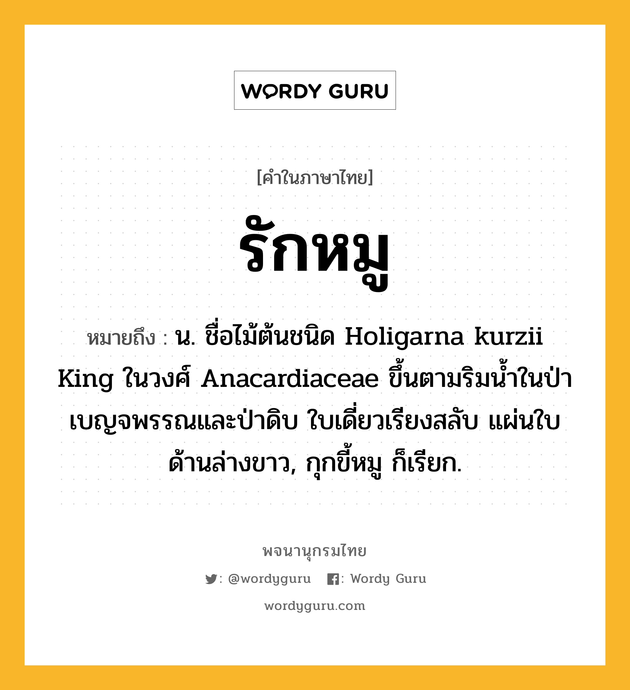 รักหมู ความหมาย หมายถึงอะไร?, คำในภาษาไทย รักหมู หมายถึง น. ชื่อไม้ต้นชนิด Holigarna kurzii King ในวงศ์ Anacardiaceae ขึ้นตามริมนํ้าในป่าเบญจพรรณและป่าดิบ ใบเดี่ยวเรียงสลับ แผ่นใบด้านล่างขาว, กุกขี้หมู ก็เรียก.