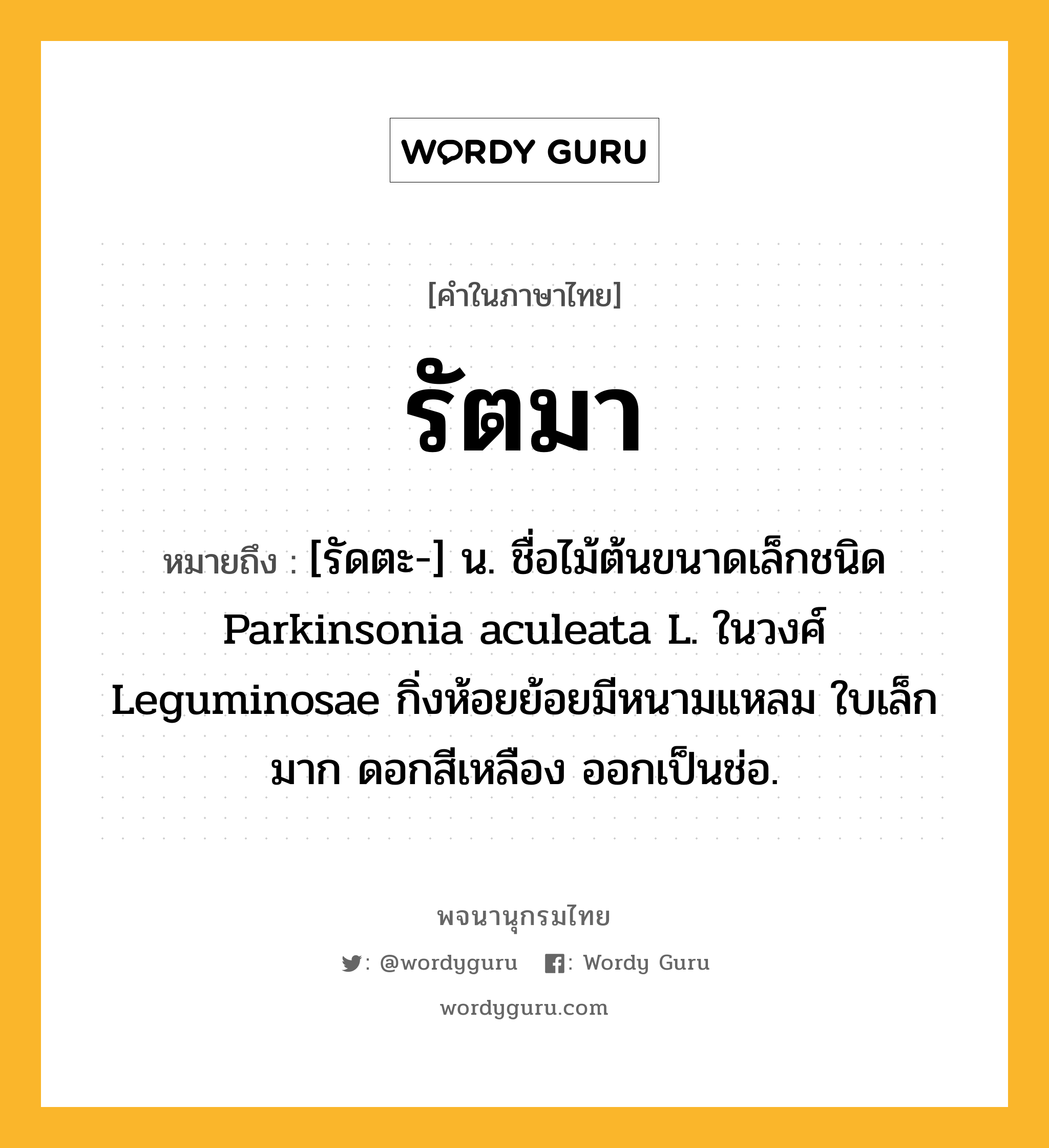 รัตมา ความหมาย หมายถึงอะไร?, คำในภาษาไทย รัตมา หมายถึง [รัดตะ-] น. ชื่อไม้ต้นขนาดเล็กชนิด Parkinsonia aculeata L. ในวงศ์ Leguminosae กิ่งห้อยย้อยมีหนามแหลม ใบเล็กมาก ดอกสีเหลือง ออกเป็นช่อ.