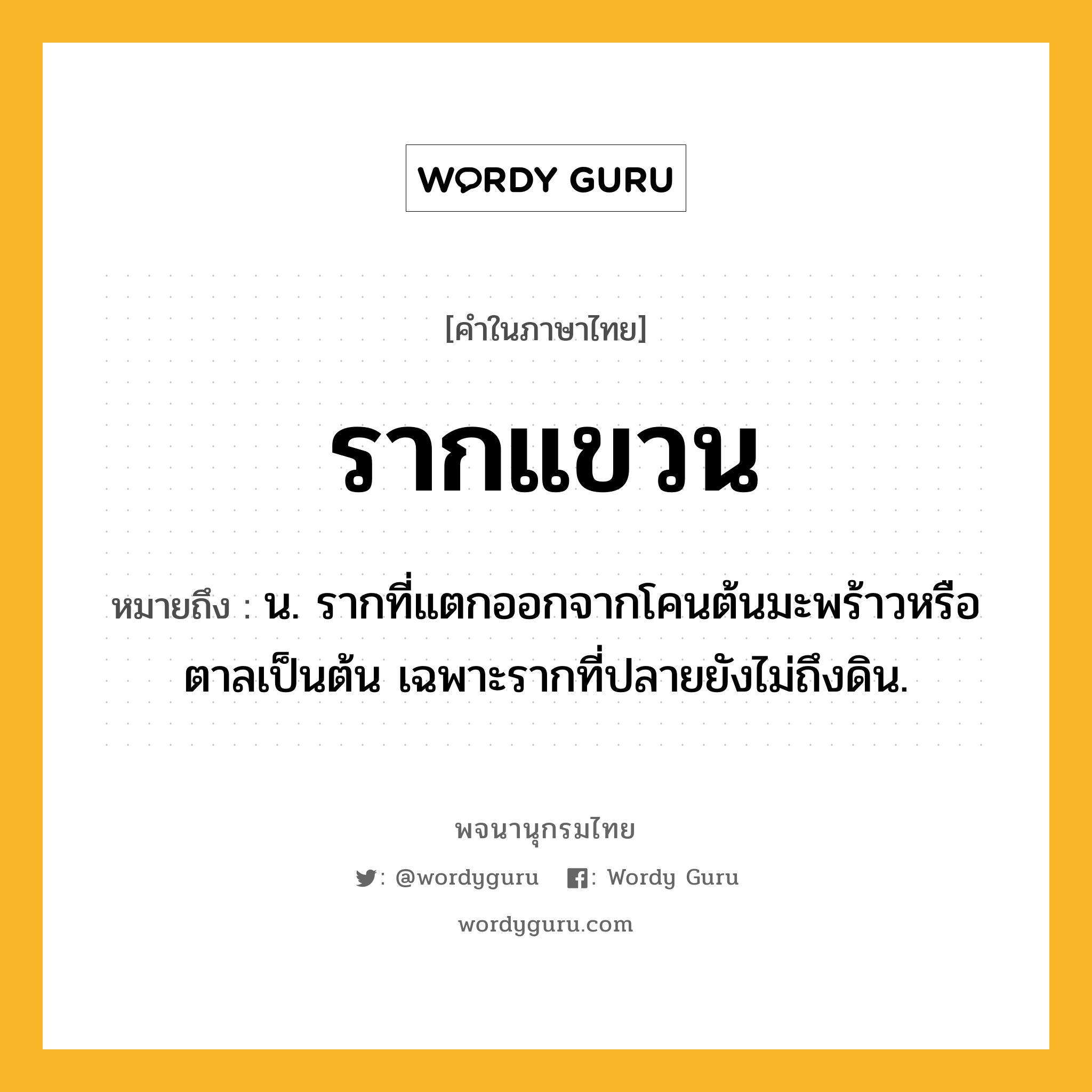 รากแขวน ความหมาย หมายถึงอะไร?, คำในภาษาไทย รากแขวน หมายถึง น. รากที่แตกออกจากโคนต้นมะพร้าวหรือตาลเป็นต้น เฉพาะรากที่ปลายยังไม่ถึงดิน.