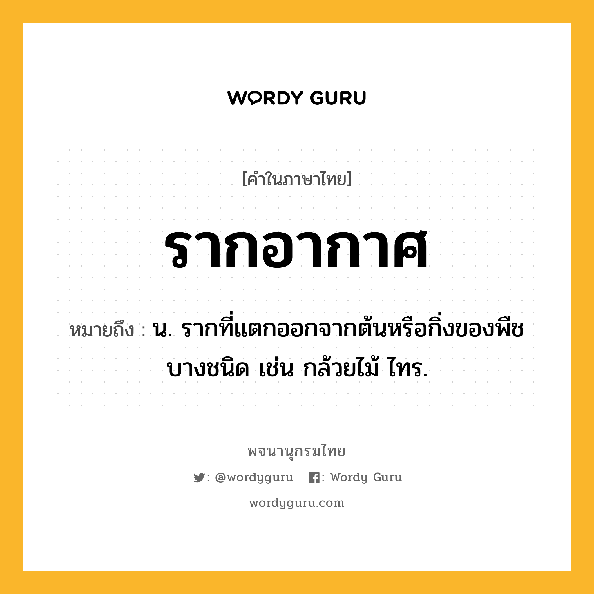 รากอากาศ ความหมาย หมายถึงอะไร?, คำในภาษาไทย รากอากาศ หมายถึง น. รากที่แตกออกจากต้นหรือกิ่งของพืชบางชนิด เช่น กล้วยไม้ ไทร.