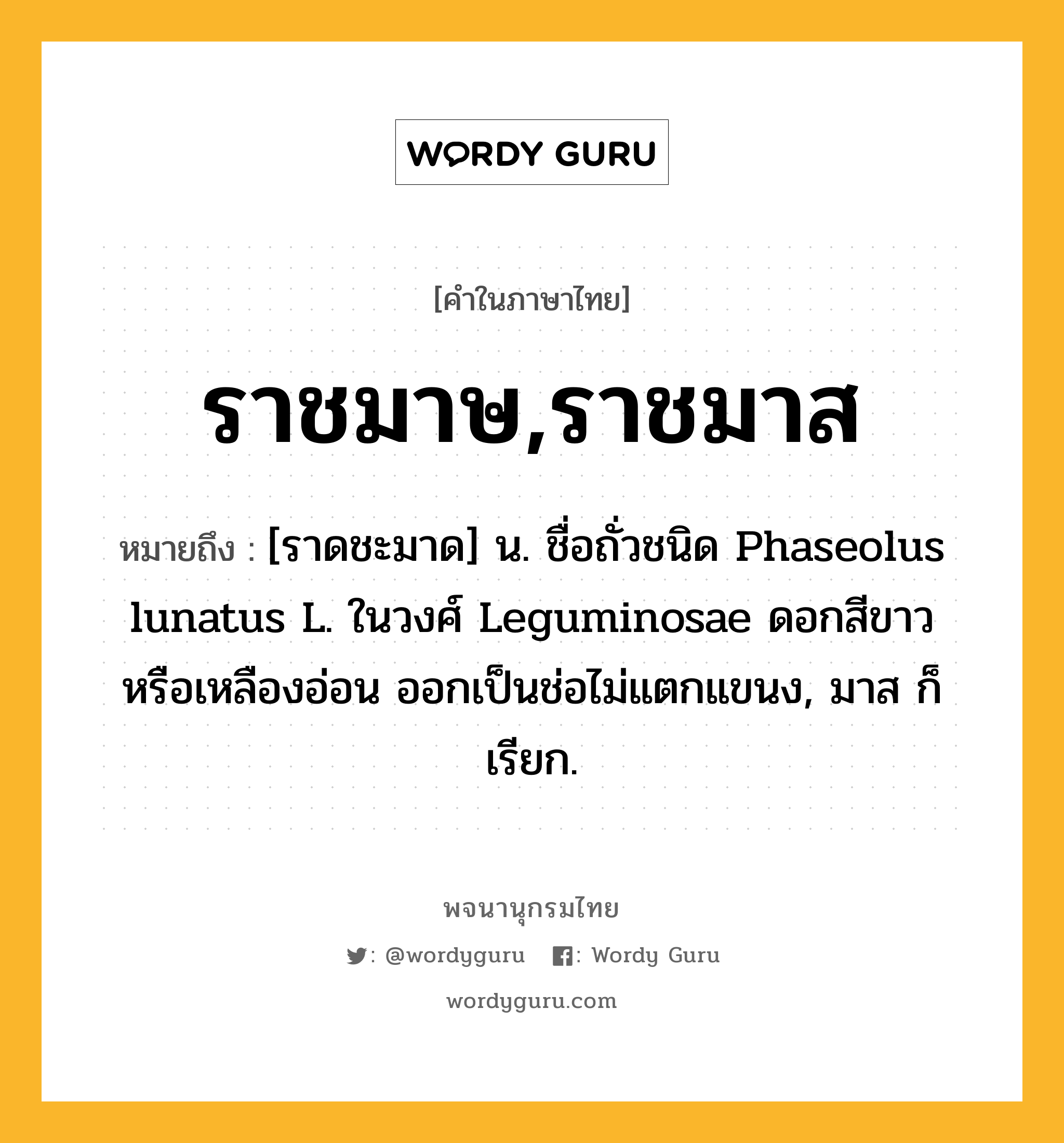 ราชมาษ,ราชมาส ความหมาย หมายถึงอะไร?, คำในภาษาไทย ราชมาษ,ราชมาส หมายถึง [ราดชะมาด] น. ชื่อถั่วชนิด Phaseolus lunatus L. ในวงศ์ Leguminosae ดอกสีขาวหรือเหลืองอ่อน ออกเป็นช่อไม่แตกแขนง, มาส ก็เรียก.