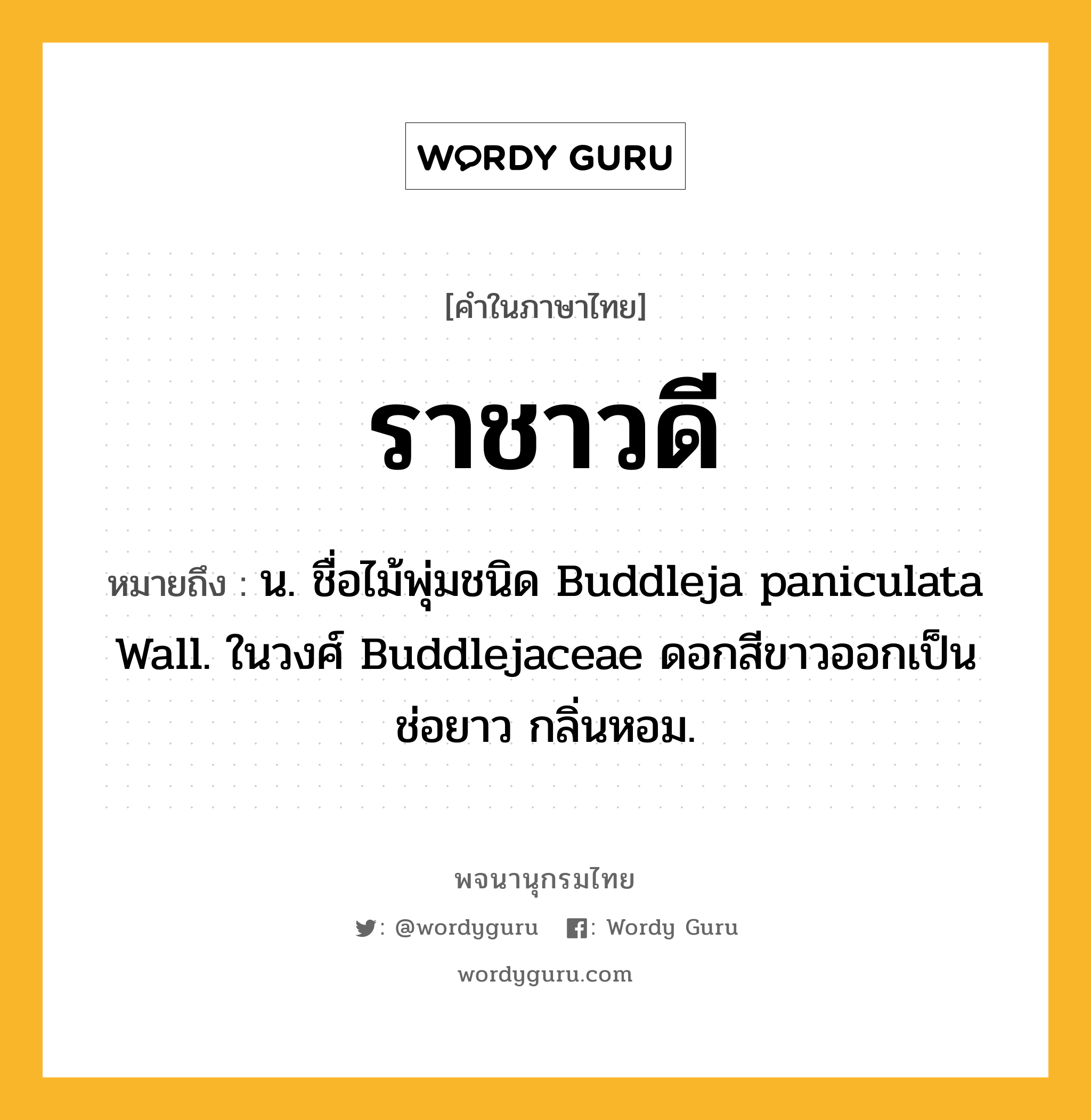 ราชาวดี ความหมาย หมายถึงอะไร?, คำในภาษาไทย ราชาวดี หมายถึง น. ชื่อไม้พุ่มชนิด Buddleja paniculata Wall. ในวงศ์ Buddlejaceae ดอกสีขาวออกเป็นช่อยาว กลิ่นหอม.