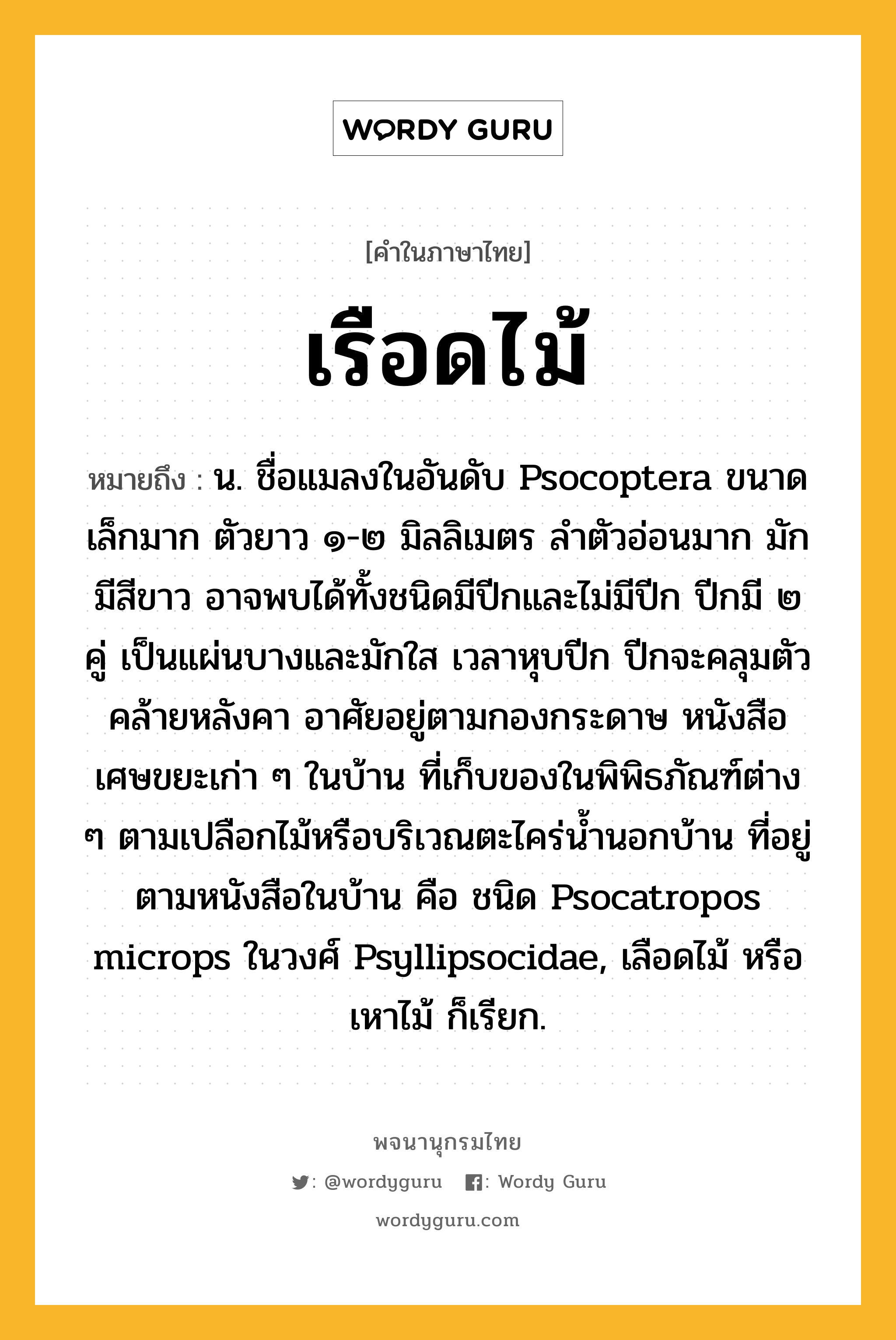 เรือดไม้ ความหมาย หมายถึงอะไร?, คำในภาษาไทย เรือดไม้ หมายถึง น. ชื่อแมลงในอันดับ Psocoptera ขนาดเล็กมาก ตัวยาว ๑-๒ มิลลิเมตร ลําตัวอ่อนมาก มักมีสีขาว อาจพบได้ทั้งชนิดมีปีกและไม่มีปีก ปีกมี ๒ คู่ เป็นแผ่นบางและมักใส เวลาหุบปีก ปีกจะคลุมตัวคล้ายหลังคา อาศัยอยู่ตามกองกระดาษ หนังสือ เศษขยะเก่า ๆ ในบ้าน ที่เก็บของในพิพิธภัณฑ์ต่าง ๆ ตามเปลือกไม้หรือบริเวณตะไคร่นํ้านอกบ้าน ที่อยู่ตามหนังสือในบ้าน คือ ชนิด Psocatropos microps ในวงศ์ Psyllipsocidae, เลือดไม้ หรือ เหาไม้ ก็เรียก.