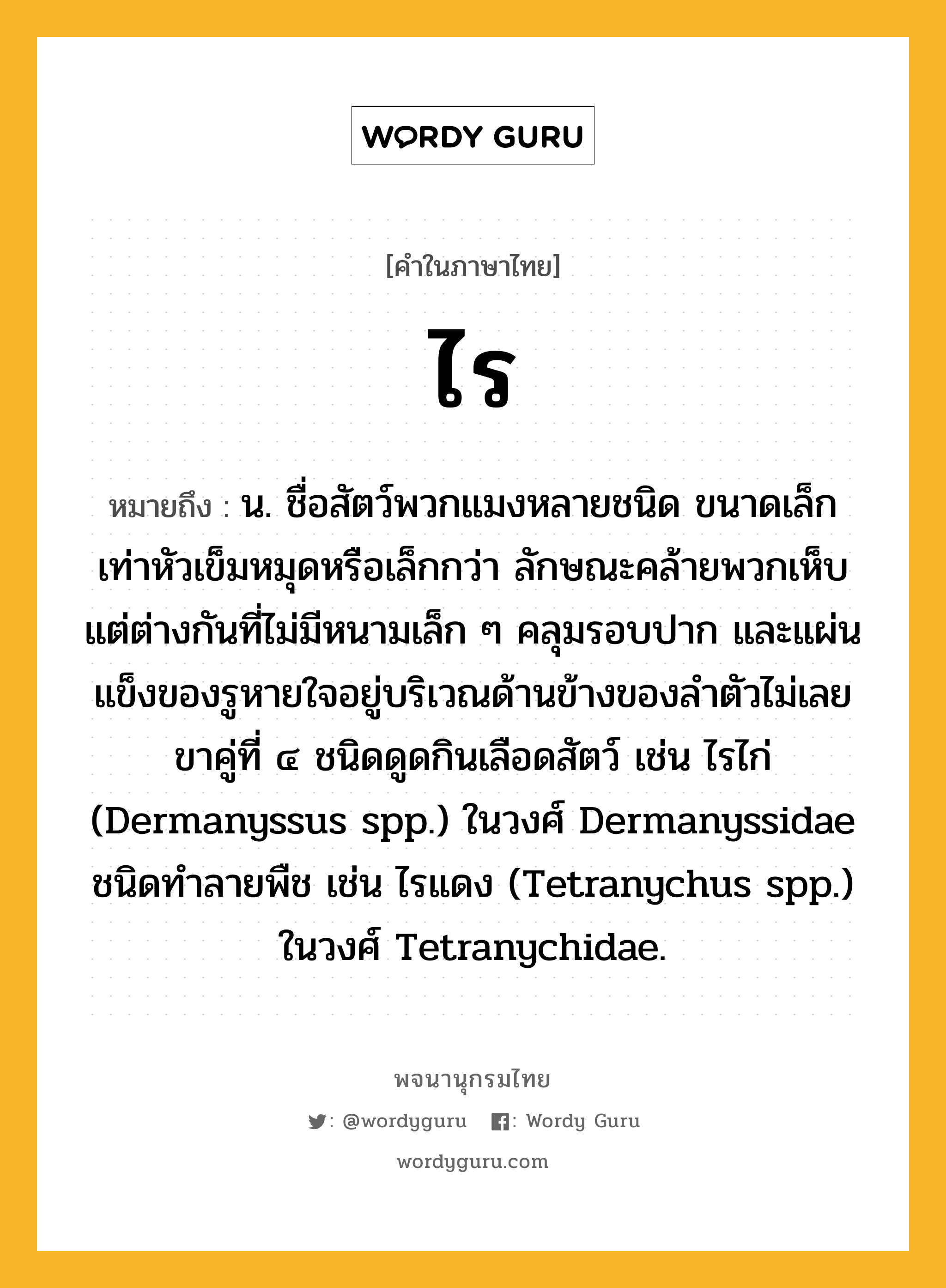 ไร ความหมาย หมายถึงอะไร?, คำในภาษาไทย ไร หมายถึง น. ชื่อสัตว์พวกแมงหลายชนิด ขนาดเล็กเท่าหัวเข็มหมุดหรือเล็กกว่า ลักษณะคล้ายพวกเห็บแต่ต่างกันที่ไม่มีหนามเล็ก ๆ คลุมรอบปาก และแผ่นแข็งของรูหายใจอยู่บริเวณด้านข้างของลําตัวไม่เลยขาคู่ที่ ๔ ชนิดดูดกินเลือดสัตว์ เช่น ไรไก่ (Dermanyssus spp.) ในวงศ์ Dermanyssidae ชนิดทําลายพืช เช่น ไรแดง (Tetranychus spp.) ในวงศ์ Tetranychidae.