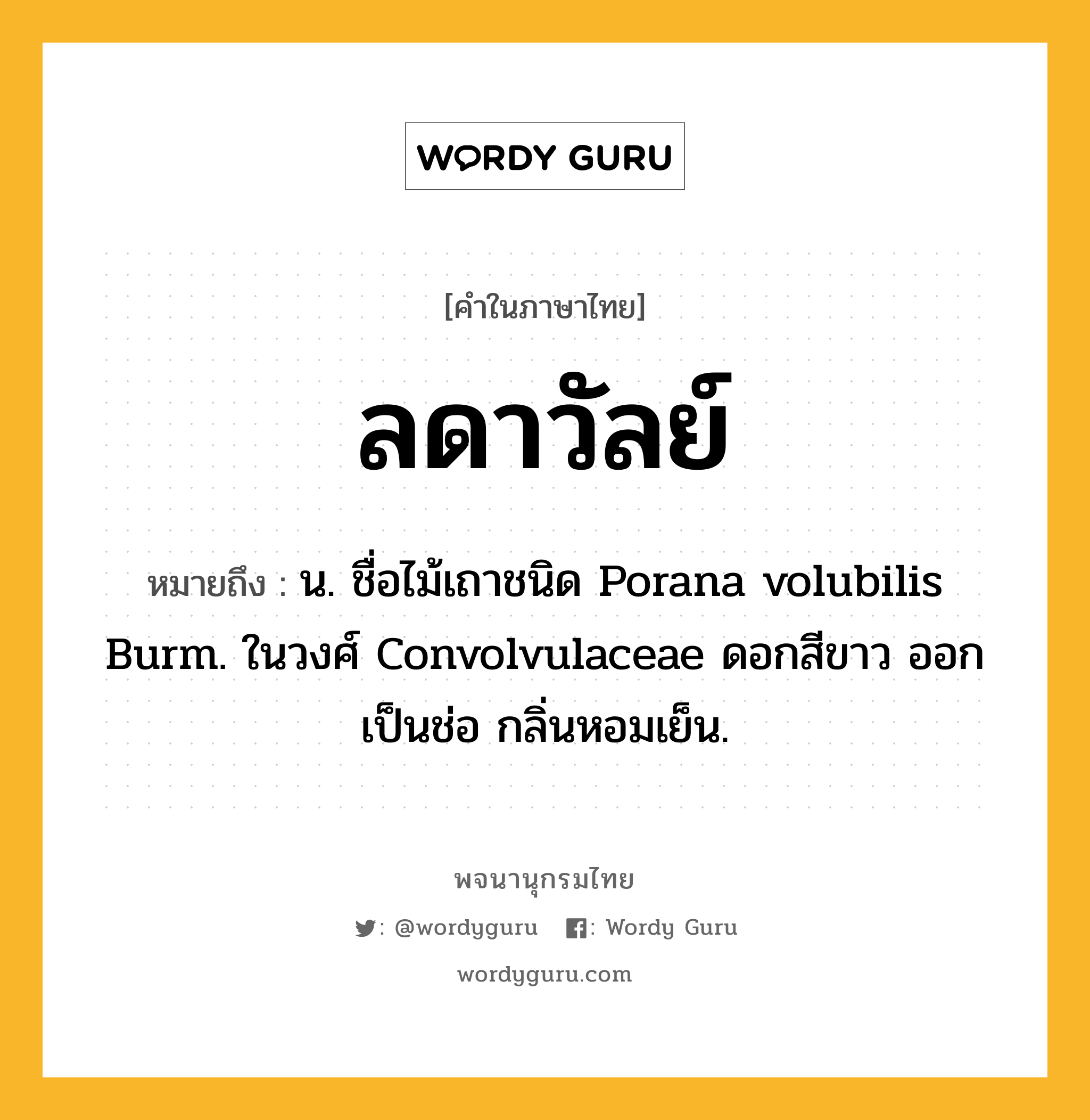 ลดาวัลย์ ความหมาย หมายถึงอะไร?, คำในภาษาไทย ลดาวัลย์ หมายถึง น. ชื่อไม้เถาชนิด Porana volubilis Burm. ในวงศ์ Convolvulaceae ดอกสีขาว ออกเป็นช่อ กลิ่นหอมเย็น.