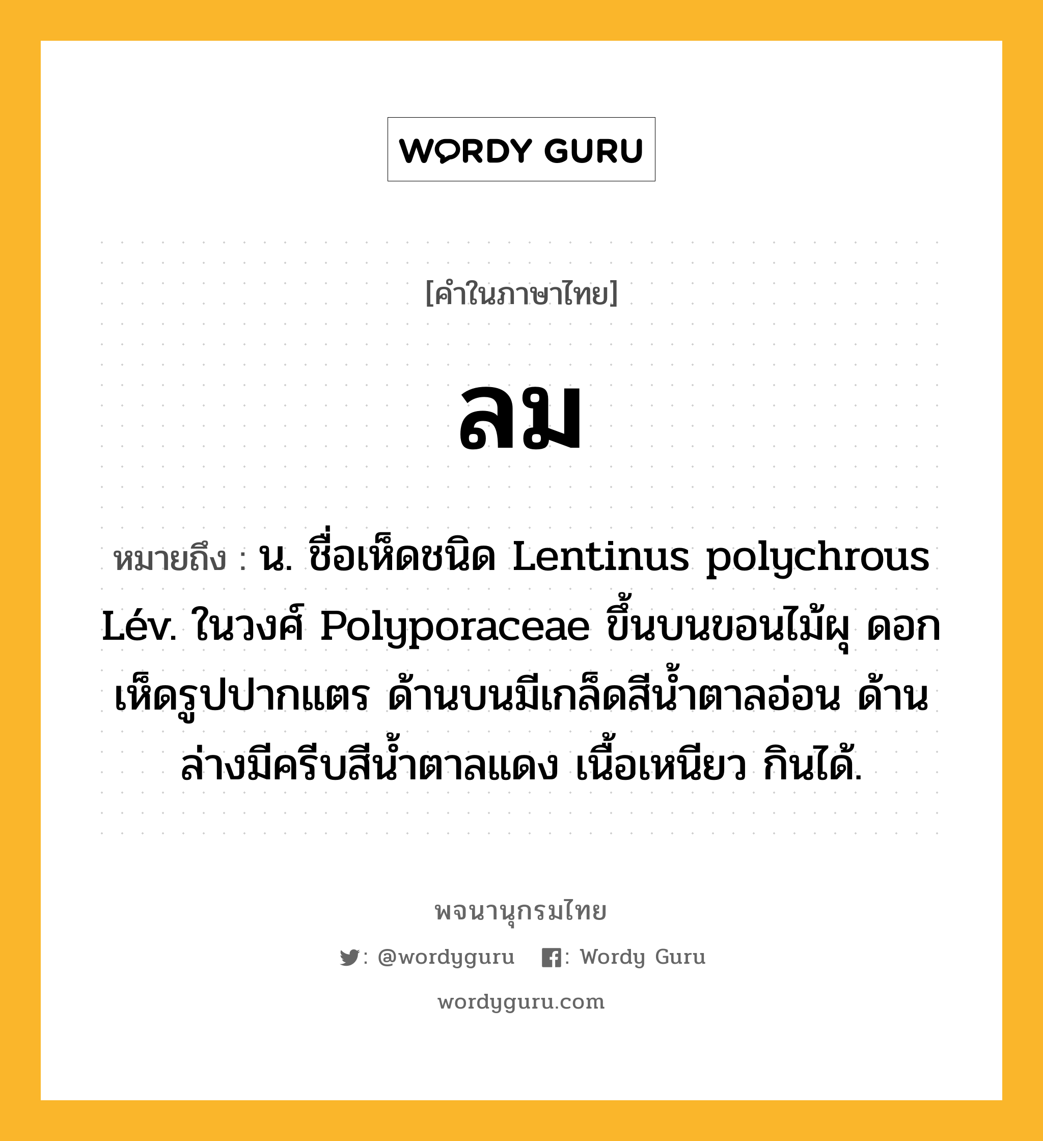 ลม ความหมาย หมายถึงอะไร?, คำในภาษาไทย ลม หมายถึง น. ชื่อเห็ดชนิด Lentinus polychrous Lév. ในวงศ์ Polyporaceae ขึ้นบนขอนไม้ผุ ดอกเห็ดรูปปากแตร ด้านบนมีเกล็ดสีนํ้าตาลอ่อน ด้านล่างมีครีบสีนํ้าตาลแดง เนื้อเหนียว กินได้.