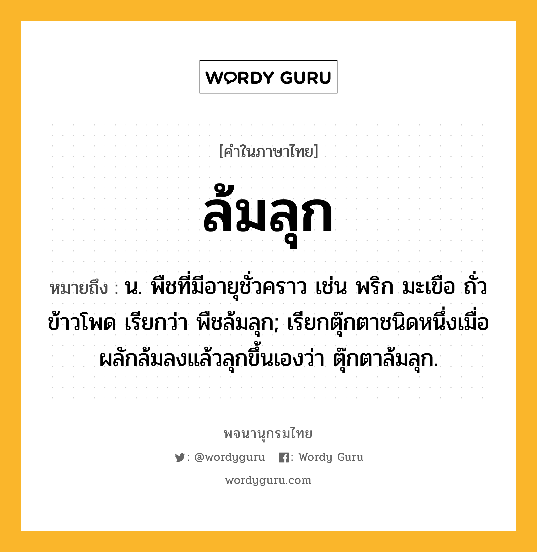 ล้มลุก ความหมาย หมายถึงอะไร?, คำในภาษาไทย ล้มลุก หมายถึง น. พืชที่มีอายุชั่วคราว เช่น พริก มะเขือ ถั่ว ข้าวโพด เรียกว่า พืชล้มลุก; เรียกตุ๊กตาชนิดหนึ่งเมื่อผลักล้มลงแล้วลุกขึ้นเองว่า ตุ๊กตาล้มลุก.