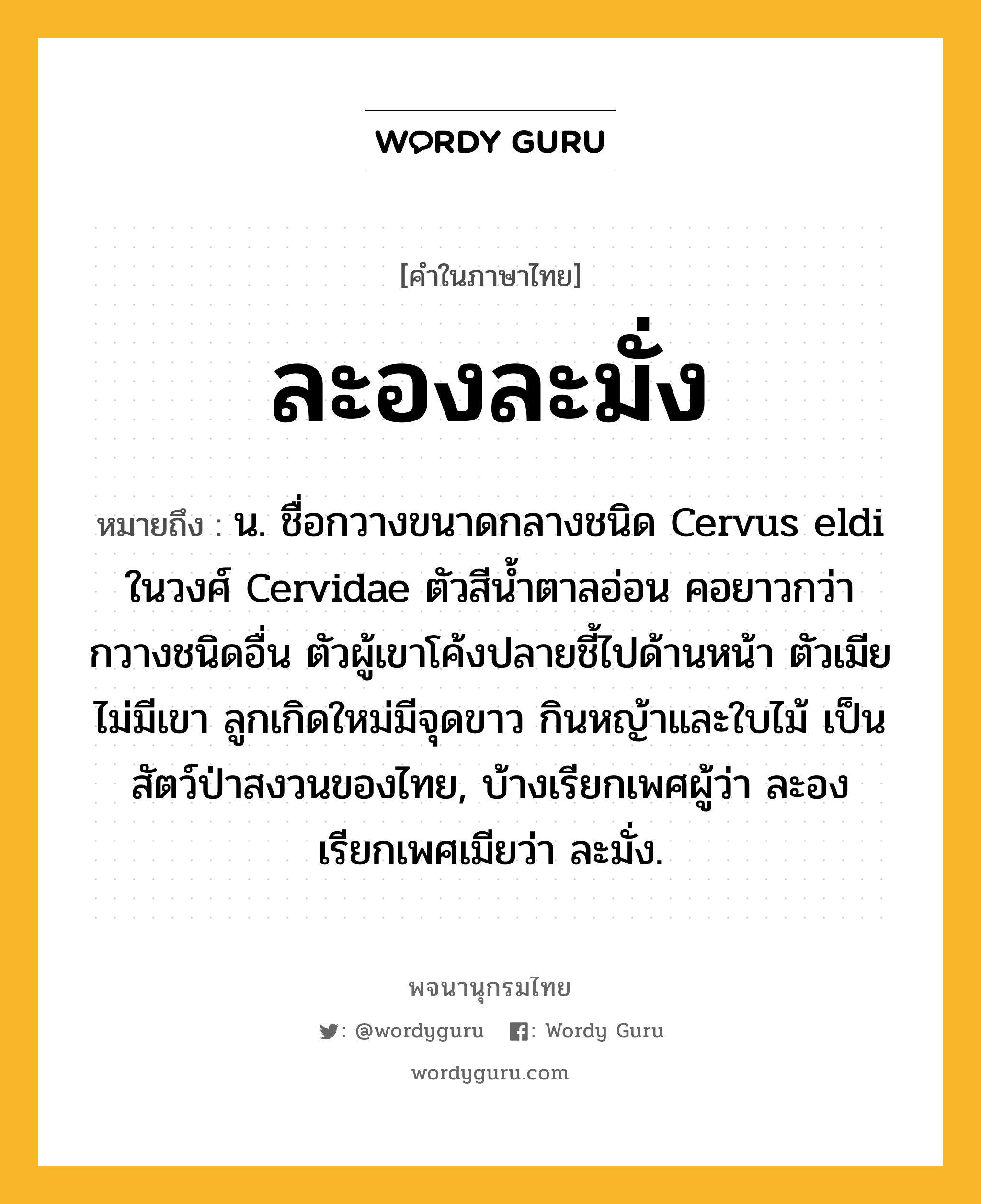 ละองละมั่ง ความหมาย หมายถึงอะไร?, คำในภาษาไทย ละองละมั่ง หมายถึง น. ชื่อกวางขนาดกลางชนิด Cervus eldi ในวงศ์ Cervidae ตัวสีนํ้าตาลอ่อน คอยาวกว่ากวางชนิดอื่น ตัวผู้เขาโค้งปลายชี้ไปด้านหน้า ตัวเมียไม่มีเขา ลูกเกิดใหม่มีจุดขาว กินหญ้าและใบไม้ เป็นสัตว์ป่าสงวนของไทย, บ้างเรียกเพศผู้ว่า ละอง เรียกเพศเมียว่า ละมั่ง.