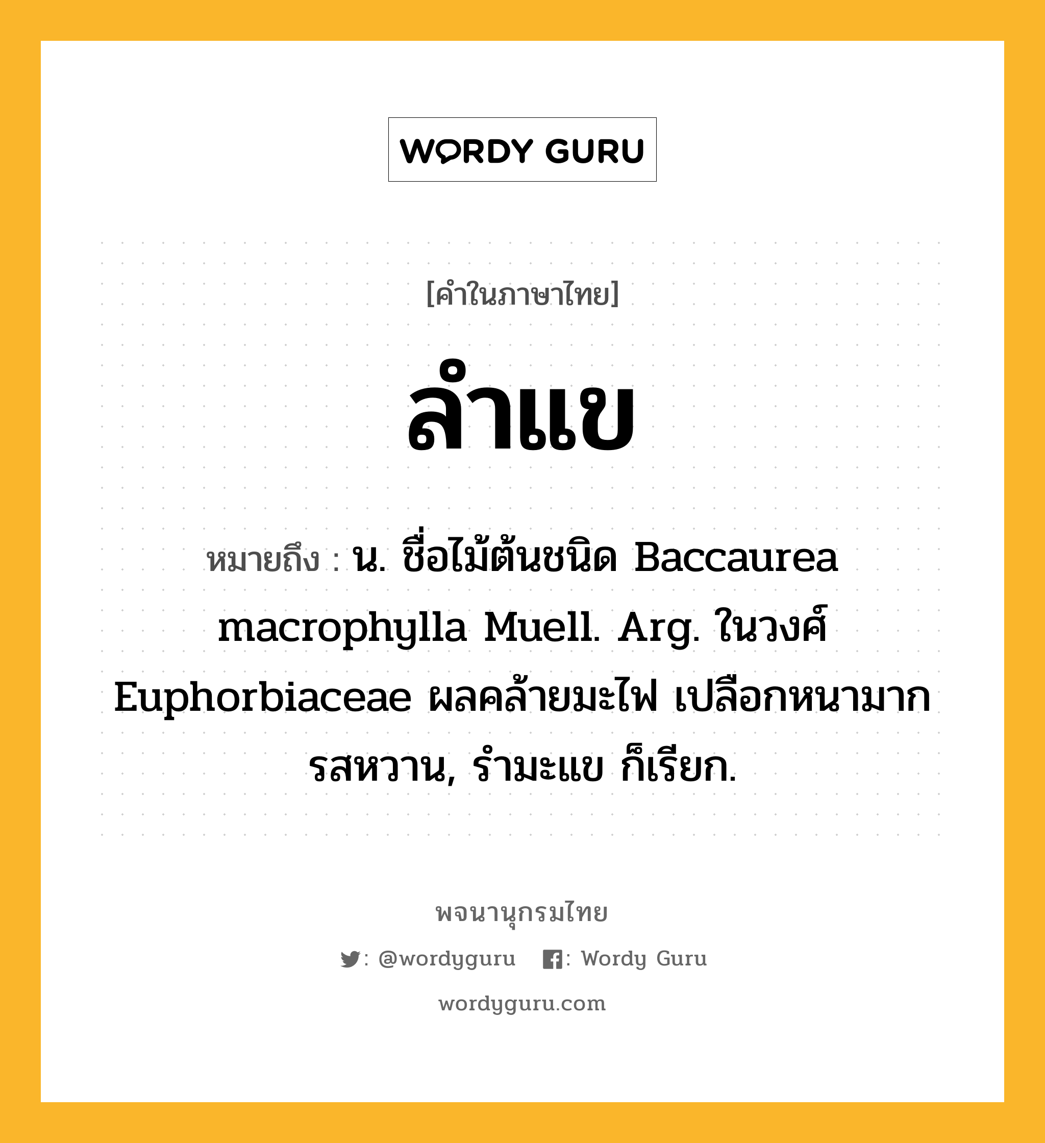 ลำแข ความหมาย หมายถึงอะไร?, คำในภาษาไทย ลำแข หมายถึง น. ชื่อไม้ต้นชนิด Baccaurea macrophylla Muell. Arg. ในวงศ์ Euphorbiaceae ผลคล้ายมะไฟ เปลือกหนามาก รสหวาน, รํามะแข ก็เรียก.