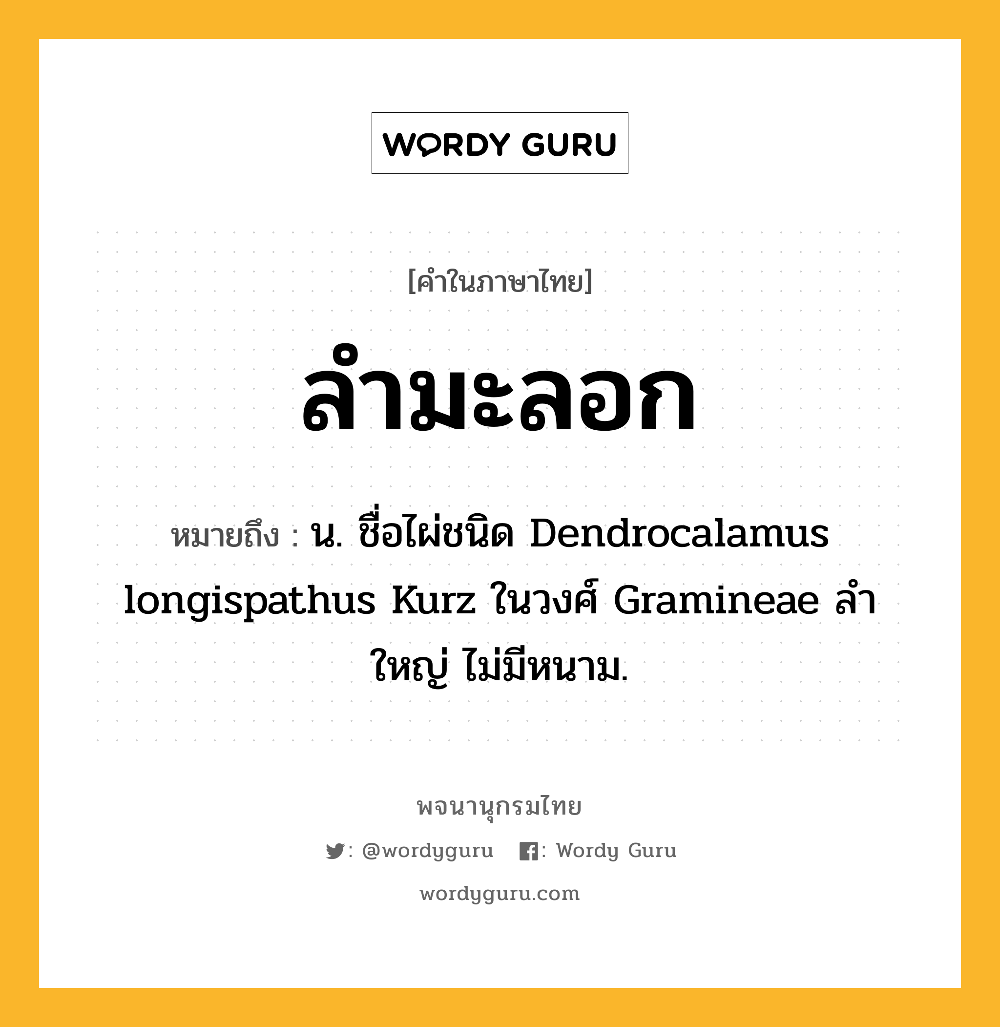 ลำมะลอก ความหมาย หมายถึงอะไร?, คำในภาษาไทย ลำมะลอก หมายถึง น. ชื่อไผ่ชนิด Dendrocalamus longispathus Kurz ในวงศ์ Gramineae ลําใหญ่ ไม่มีหนาม.