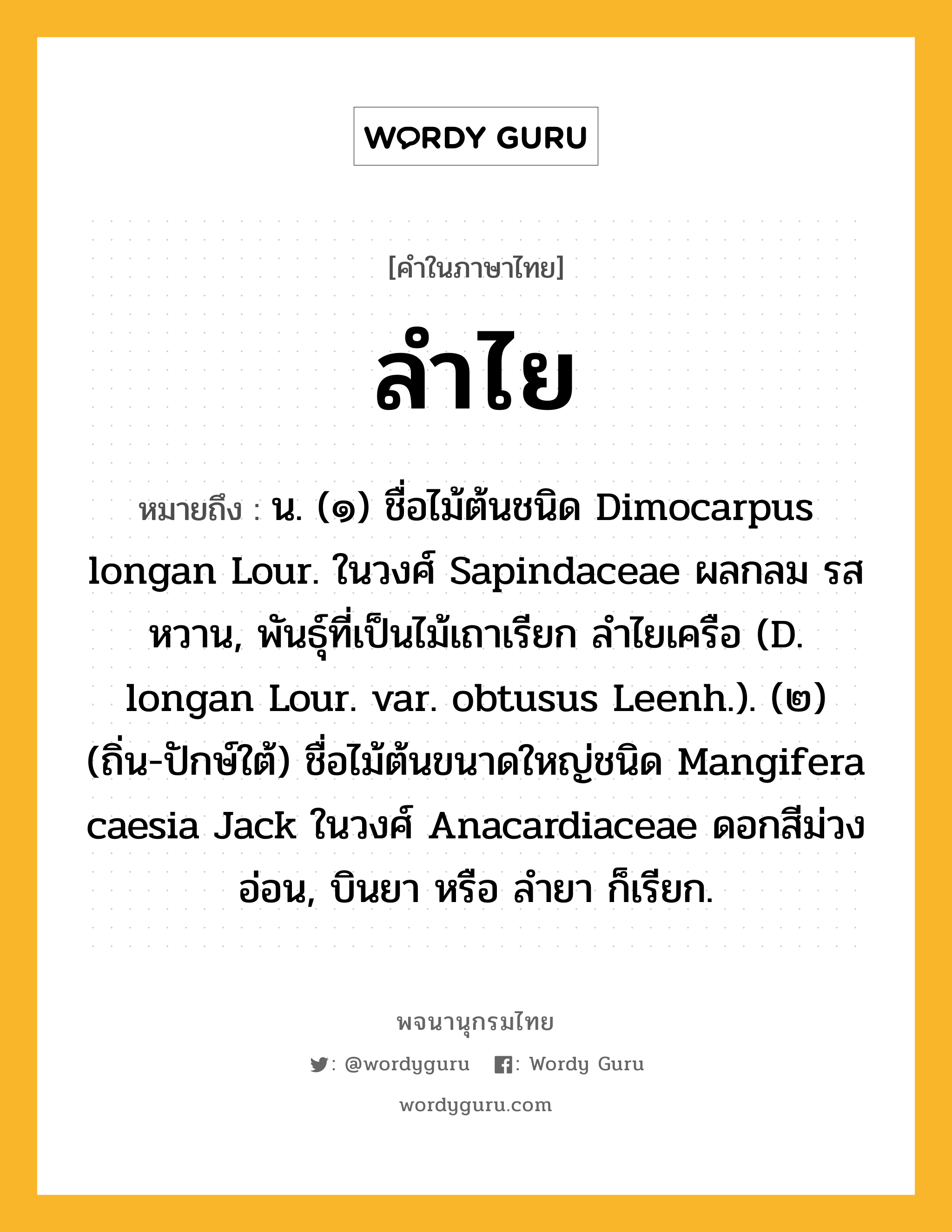 ลำไย ความหมาย หมายถึงอะไร?, คำในภาษาไทย ลำไย หมายถึง น. (๑) ชื่อไม้ต้นชนิด Dimocarpus longan Lour. ในวงศ์ Sapindaceae ผลกลม รสหวาน, พันธุ์ที่เป็นไม้เถาเรียก ลําไยเครือ (D. longan Lour. var. obtusus Leenh.). (๒) (ถิ่น-ปักษ์ใต้) ชื่อไม้ต้นขนาดใหญ่ชนิด Mangifera caesia Jack ในวงศ์ Anacardiaceae ดอกสีม่วงอ่อน, บินยา หรือ ลํายา ก็เรียก.