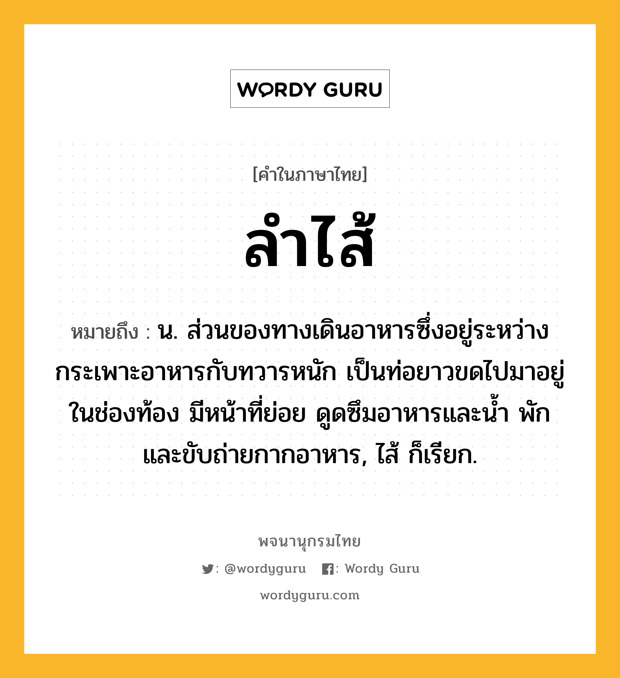 ลำไส้ ความหมาย หมายถึงอะไร?, คำในภาษาไทย ลำไส้ หมายถึง น. ส่วนของทางเดินอาหารซึ่งอยู่ระหว่างกระเพาะอาหารกับทวารหนัก เป็นท่อยาวขดไปมาอยู่ในช่องท้อง มีหน้าที่ย่อย ดูดซึมอาหารและน้ำ พักและขับถ่ายกากอาหาร, ไส้ ก็เรียก.