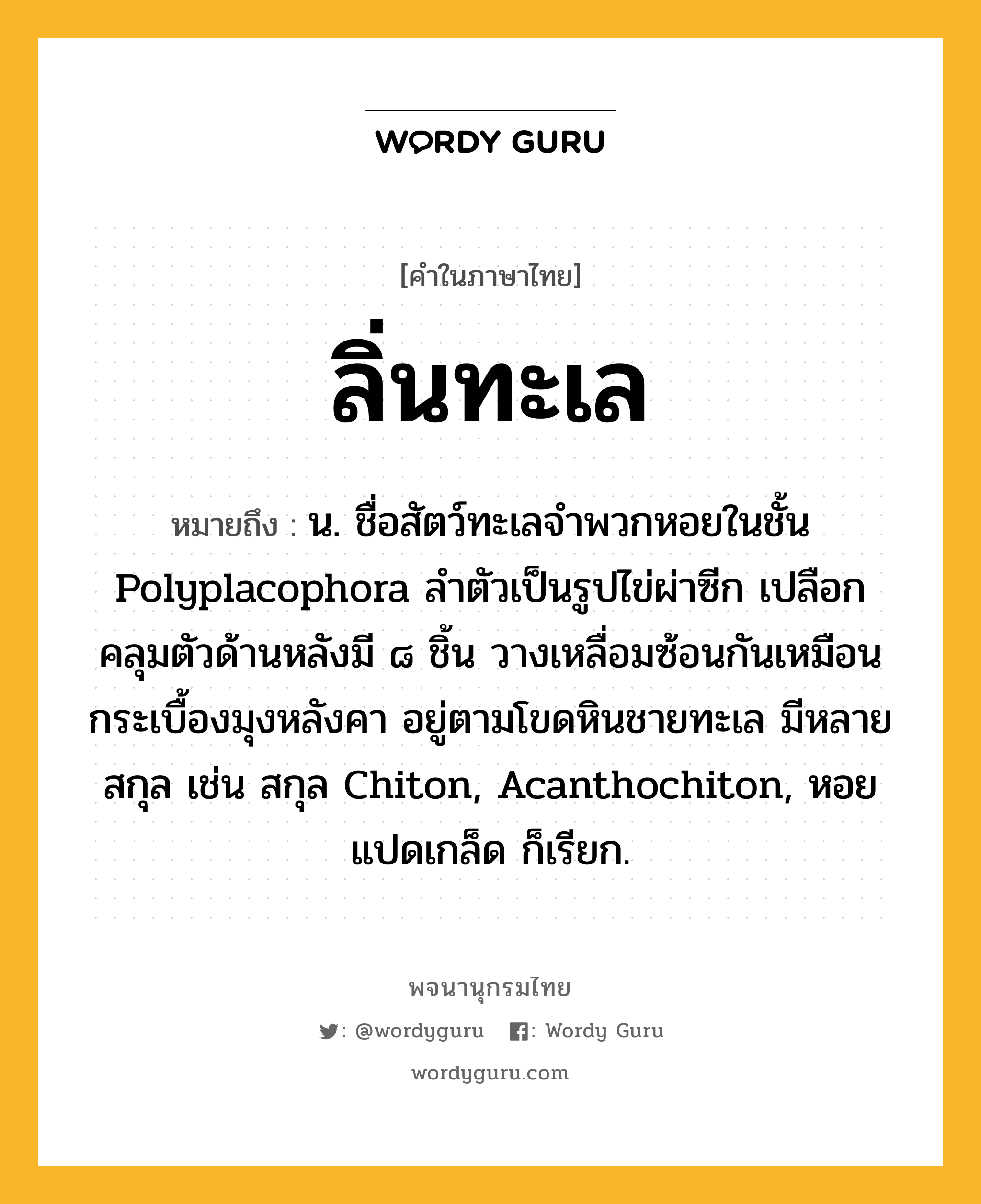 ลิ่นทะเล ความหมาย หมายถึงอะไร?, คำในภาษาไทย ลิ่นทะเล หมายถึง น. ชื่อสัตว์ทะเลจําพวกหอยในชั้น Polyplacophora ลําตัวเป็นรูปไข่ผ่าซีก เปลือกคลุมตัวด้านหลังมี ๘ ชิ้น วางเหลื่อมซ้อนกันเหมือนกระเบื้องมุงหลังคา อยู่ตามโขดหินชายทะเล มีหลายสกุล เช่น สกุล Chiton, Acanthochiton, หอยแปดเกล็ด ก็เรียก.