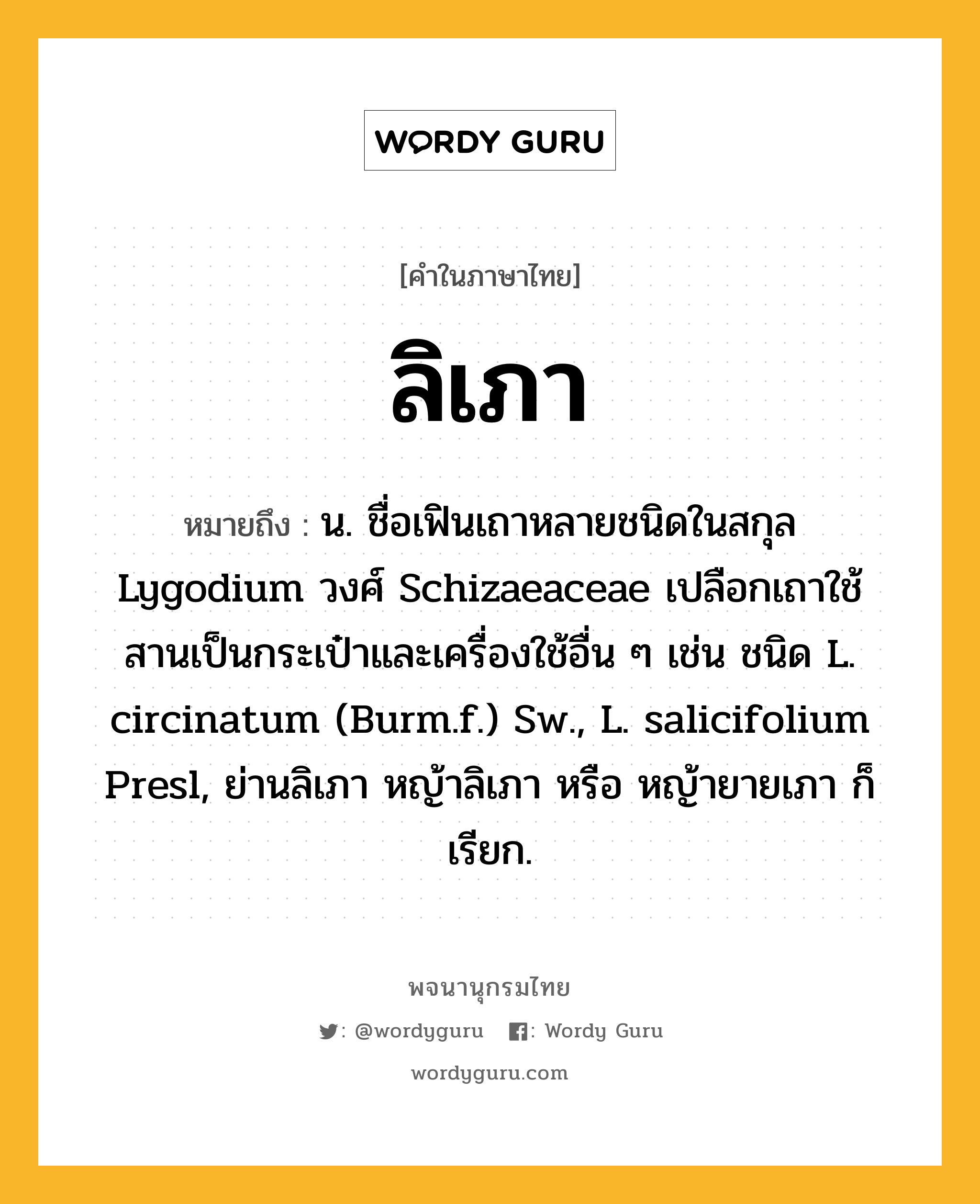 ลิเภา ความหมาย หมายถึงอะไร?, คำในภาษาไทย ลิเภา หมายถึง น. ชื่อเฟินเถาหลายชนิดในสกุล Lygodium วงศ์ Schizaeaceae เปลือกเถาใช้สานเป็นกระเป๋าและเครื่องใช้อื่น ๆ เช่น ชนิด L. circinatum (Burm.f.) Sw., L. salicifolium Presl, ย่านลิเภา หญ้าลิเภา หรือ หญ้ายายเภา ก็เรียก.