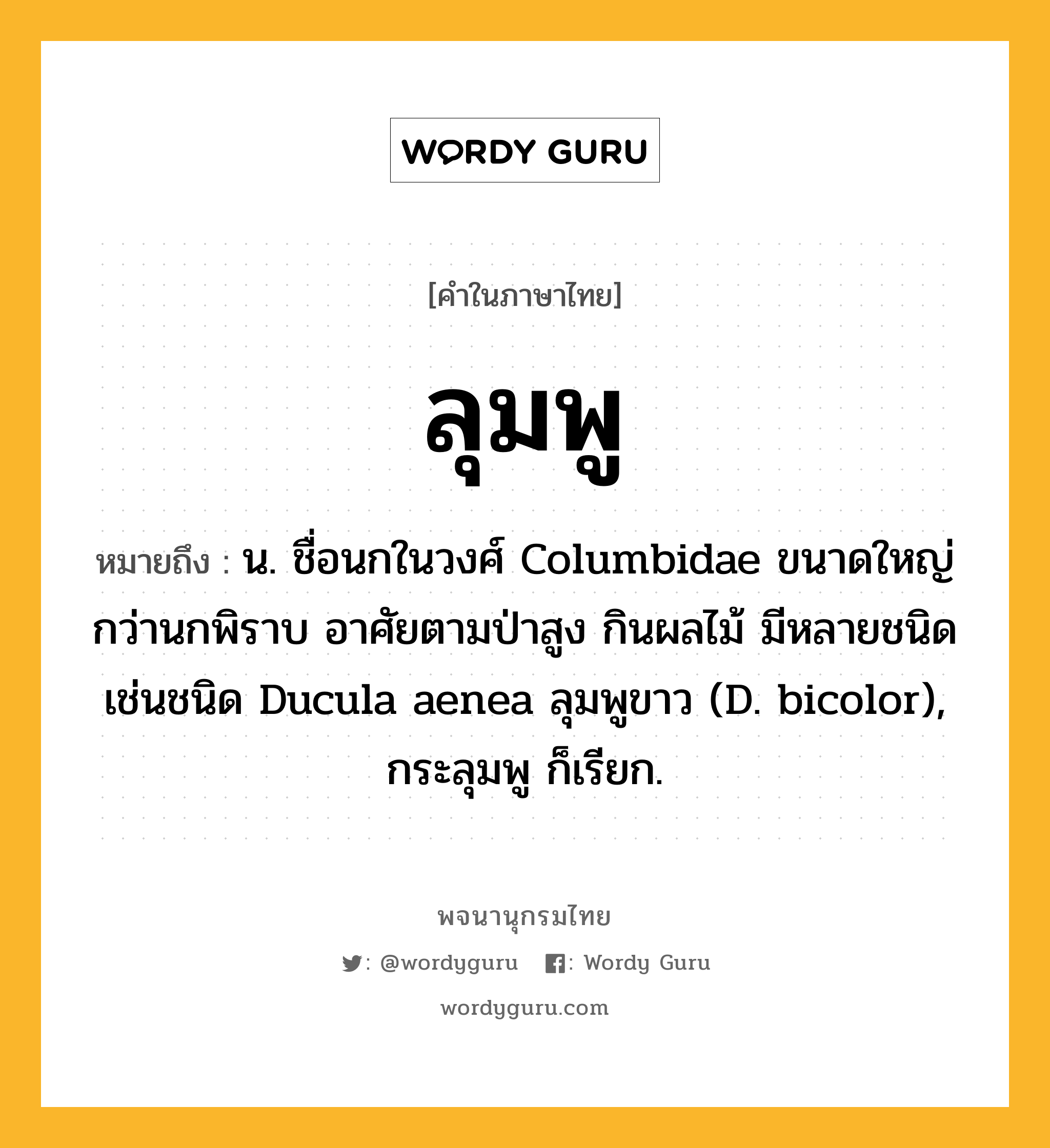 ลุมพู ความหมาย หมายถึงอะไร?, คำในภาษาไทย ลุมพู หมายถึง น. ชื่อนกในวงศ์ Columbidae ขนาดใหญ่กว่านกพิราบ อาศัยตามป่าสูง กินผลไม้ มีหลายชนิด เช่นชนิด Ducula aenea ลุมพูขาว (D. bicolor), กระลุมพู ก็เรียก.