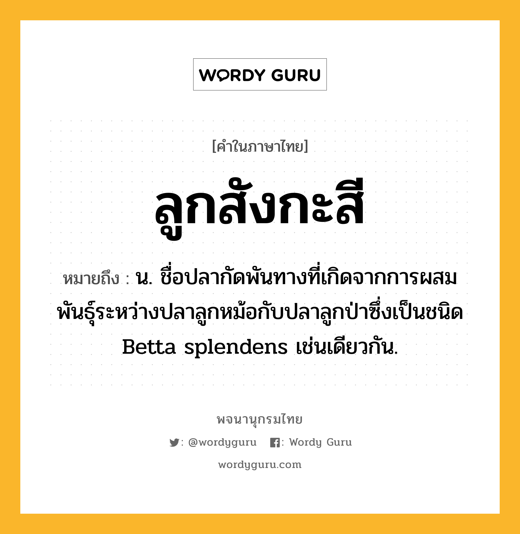 ลูกสังกะสี ความหมาย หมายถึงอะไร?, คำในภาษาไทย ลูกสังกะสี หมายถึง น. ชื่อปลากัดพันทางที่เกิดจากการผสมพันธุ์ระหว่างปลาลูกหม้อกับปลาลูกป่าซึ่งเป็นชนิด Betta splendens เช่นเดียวกัน.