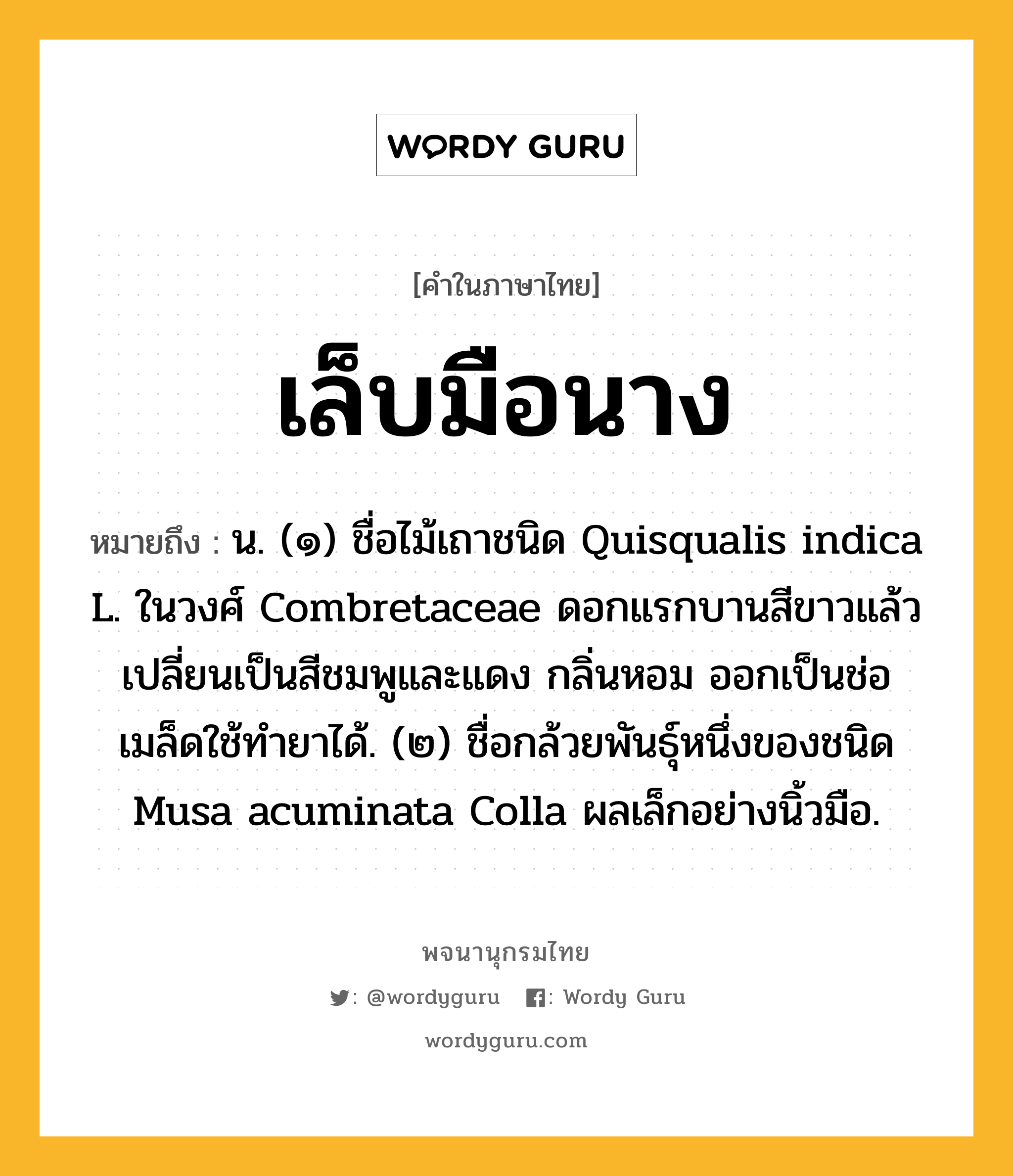 เล็บมือนาง ความหมาย หมายถึงอะไร?, คำในภาษาไทย เล็บมือนาง หมายถึง น. (๑) ชื่อไม้เถาชนิด Quisqualis indica L. ในวงศ์ Combretaceae ดอกแรกบานสีขาวแล้วเปลี่ยนเป็นสีชมพูและแดง กลิ่นหอม ออกเป็นช่อ เมล็ดใช้ทํายาได้. (๒) ชื่อกล้วยพันธุ์หนึ่งของชนิด Musa acuminata Colla ผลเล็กอย่างนิ้วมือ.