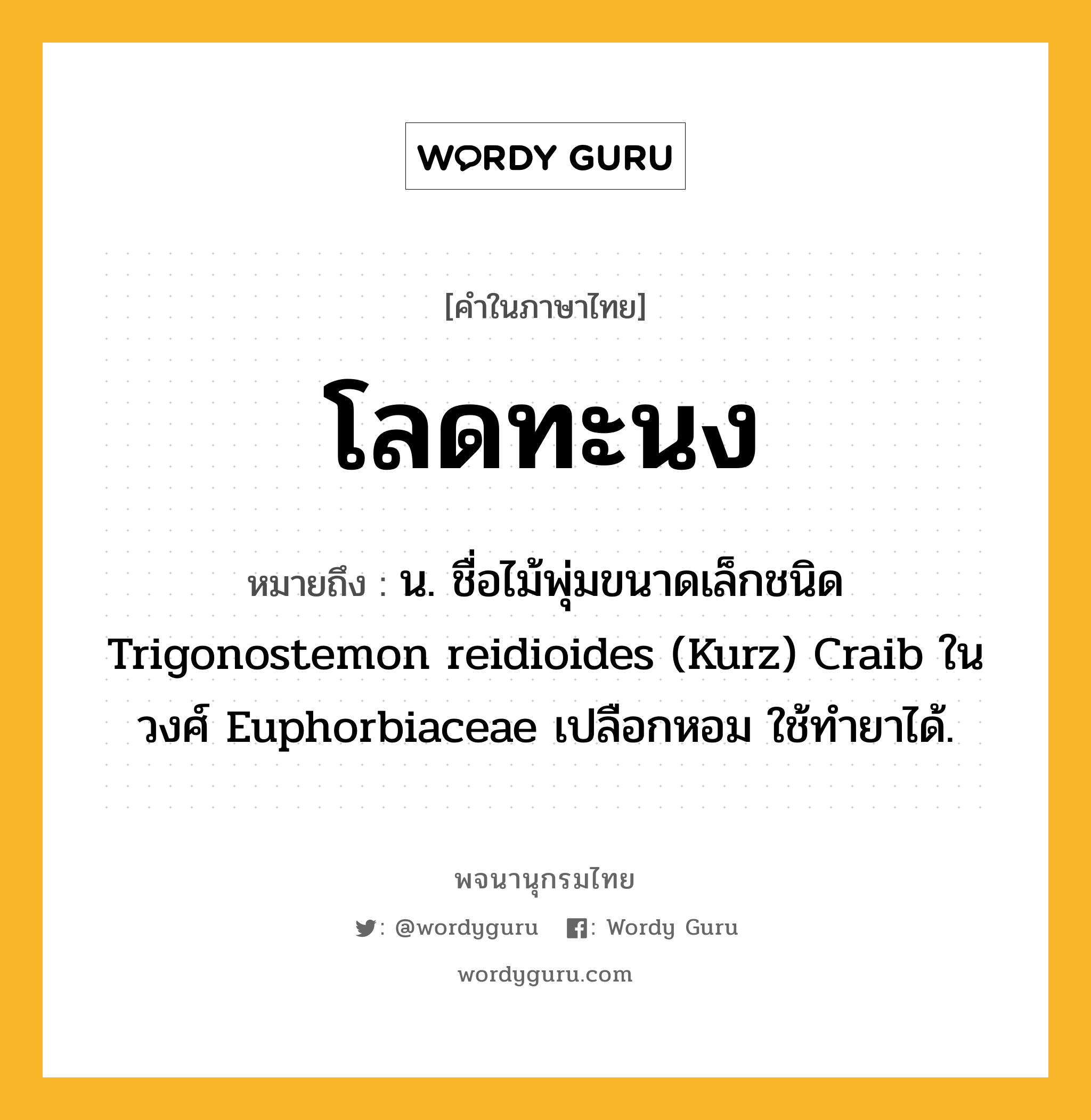 โลดทะนง ความหมาย หมายถึงอะไร?, คำในภาษาไทย โลดทะนง หมายถึง น. ชื่อไม้พุ่มขนาดเล็กชนิด Trigonostemon reidioides (Kurz) Craib ในวงศ์ Euphorbiaceae เปลือกหอม ใช้ทํายาได้.