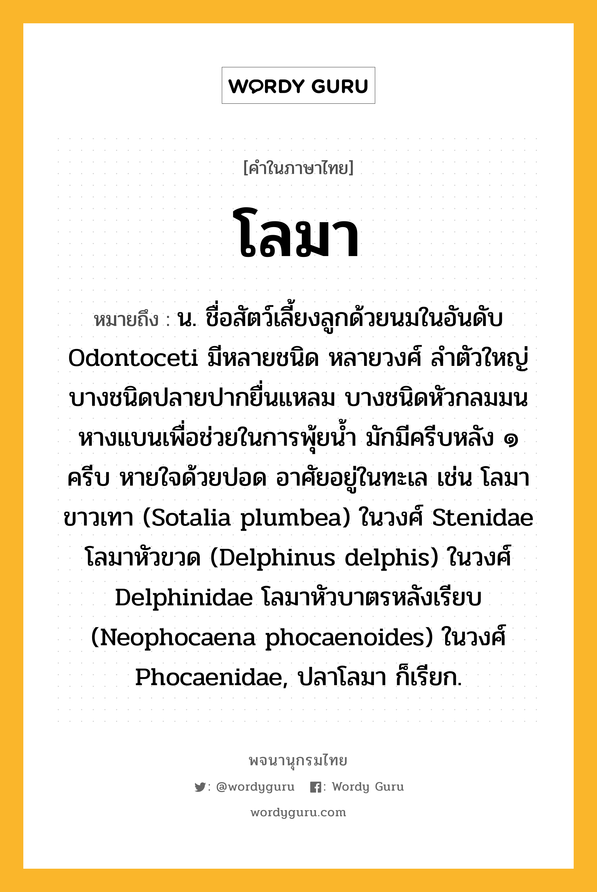 โลมา ความหมาย หมายถึงอะไร?, คำในภาษาไทย โลมา หมายถึง น. ชื่อสัตว์เลี้ยงลูกด้วยนมในอันดับ Odontoceti มีหลายชนิด หลายวงศ์ ลำตัวใหญ่ บางชนิดปลายปากยื่นแหลม บางชนิดหัวกลมมน หางแบนเพื่อช่วยในการพุ้ยน้ำ มักมีครีบหลัง ๑ ครีบ หายใจด้วยปอด อาศัยอยู่ในทะเล เช่น โลมาขาวเทา (Sotalia plumbea) ในวงศ์ Stenidae โลมาหัวขวด (Delphinus delphis) ในวงศ์ Delphinidae โลมาหัวบาตรหลังเรียบ (Neophocaena phocaenoides) ในวงศ์ Phocaenidae, ปลาโลมา ก็เรียก.