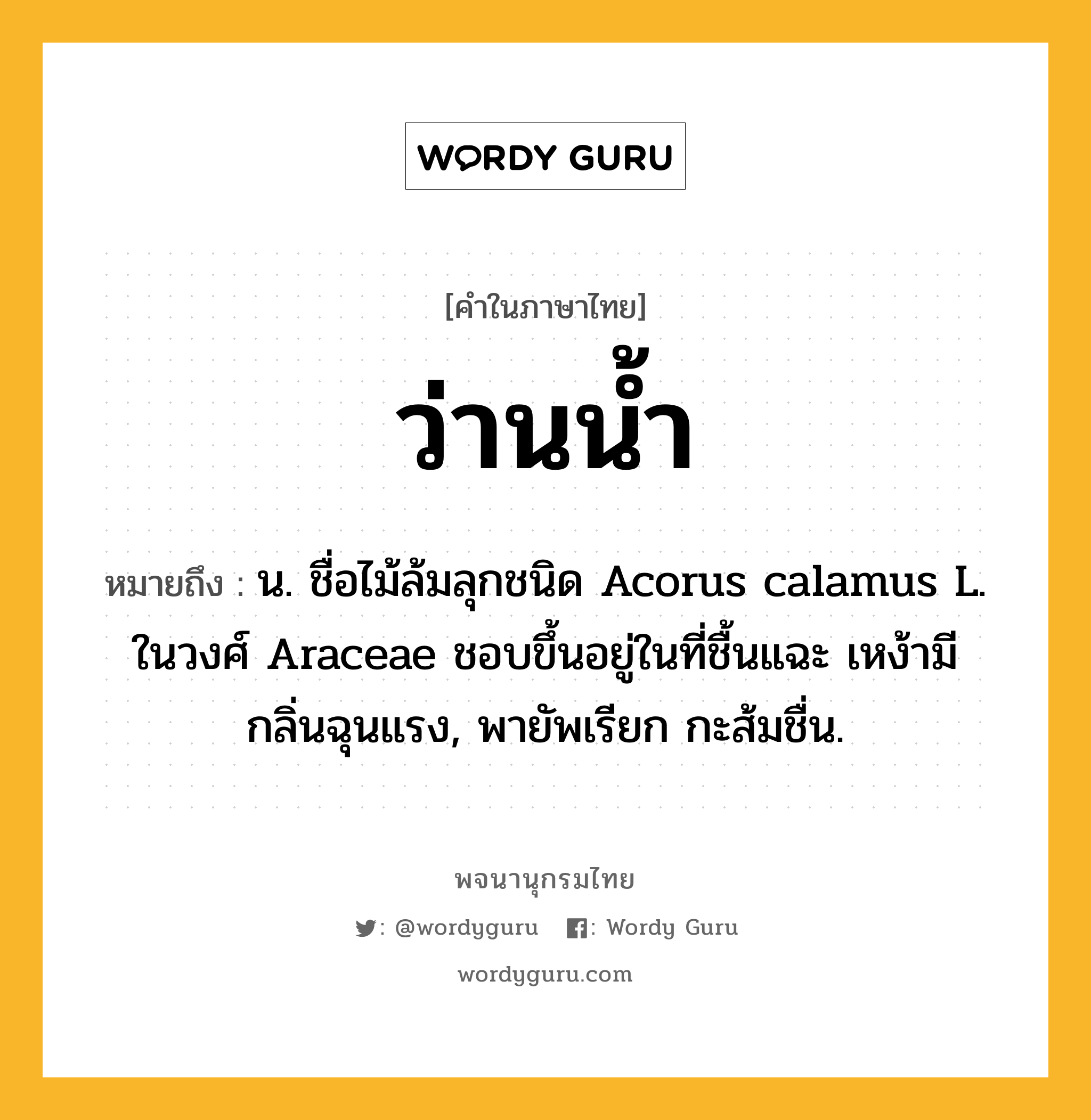 ว่านน้ำ ความหมาย หมายถึงอะไร?, คำในภาษาไทย ว่านน้ำ หมายถึง น. ชื่อไม้ล้มลุกชนิด Acorus calamus L. ในวงศ์ Araceae ชอบขึ้นอยู่ในที่ชื้นแฉะ เหง้ามีกลิ่นฉุนแรง, พายัพเรียก กะส้มชื่น.