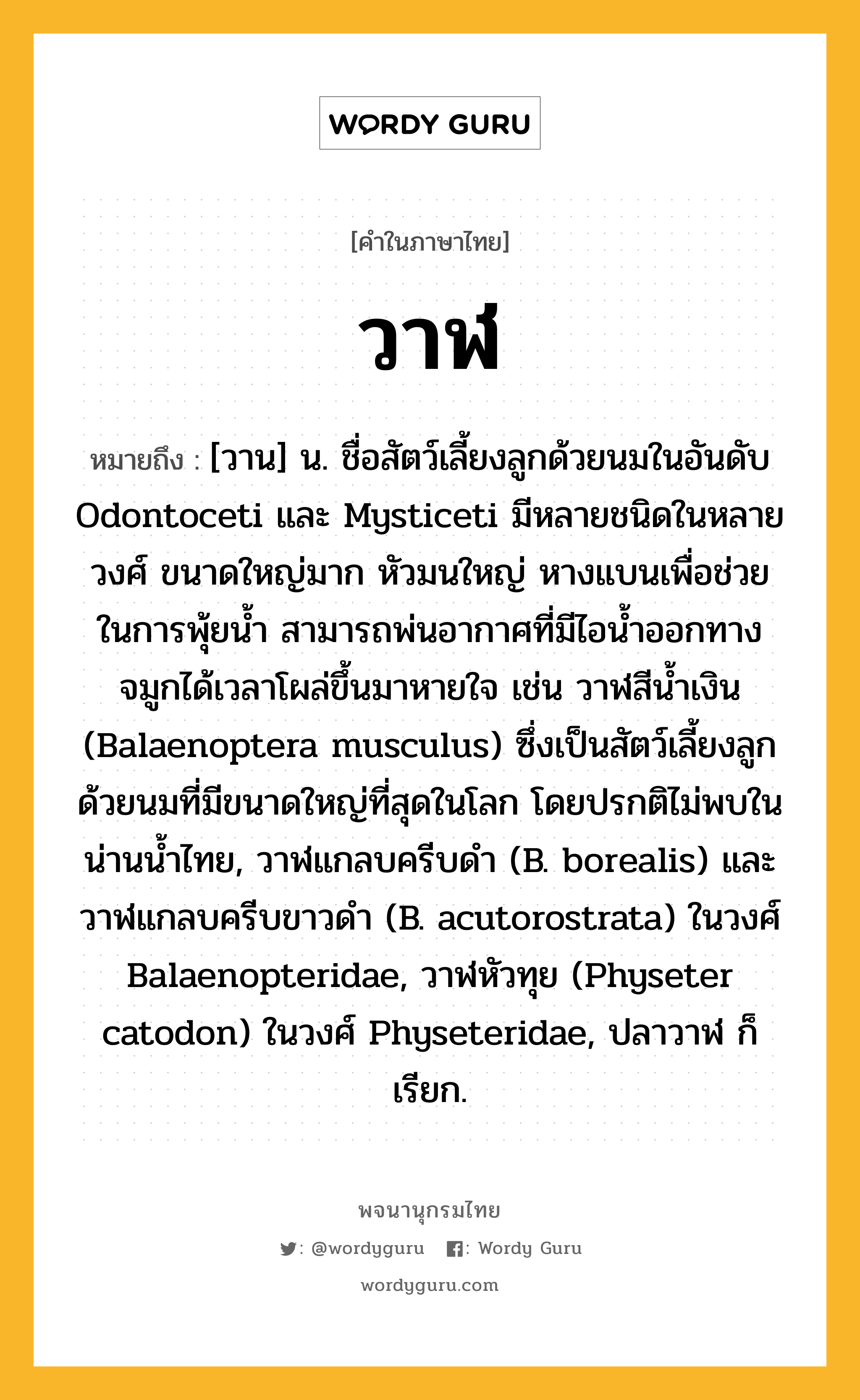 วาฬ ความหมาย หมายถึงอะไร?, คำในภาษาไทย วาฬ หมายถึง [วาน] น. ชื่อสัตว์เลี้ยงลูกด้วยนมในอันดับ Odontoceti และ Mysticeti มีหลายชนิดในหลายวงศ์ ขนาดใหญ่มาก หัวมนใหญ่ หางแบนเพื่อช่วยในการพุ้ยน้ำ สามารถพ่นอากาศที่มีไอน้ำออกทางจมูกได้เวลาโผล่ขึ้นมาหายใจ เช่น วาฬสีน้ำเงิน (Balaenoptera musculus) ซึ่งเป็นสัตว์เลี้ยงลูกด้วยนมที่มีขนาดใหญ่ที่สุดในโลก โดยปรกติไม่พบในน่านน้ำไทย, วาฬแกลบครีบดำ (B. borealis) และ วาฬแกลบครีบขาวดำ (B. acutorostrata) ในวงศ์ Balaenopteridae, วาฬหัวทุย (Physeter catodon) ในวงศ์ Physeteridae, ปลาวาฬ ก็เรียก.