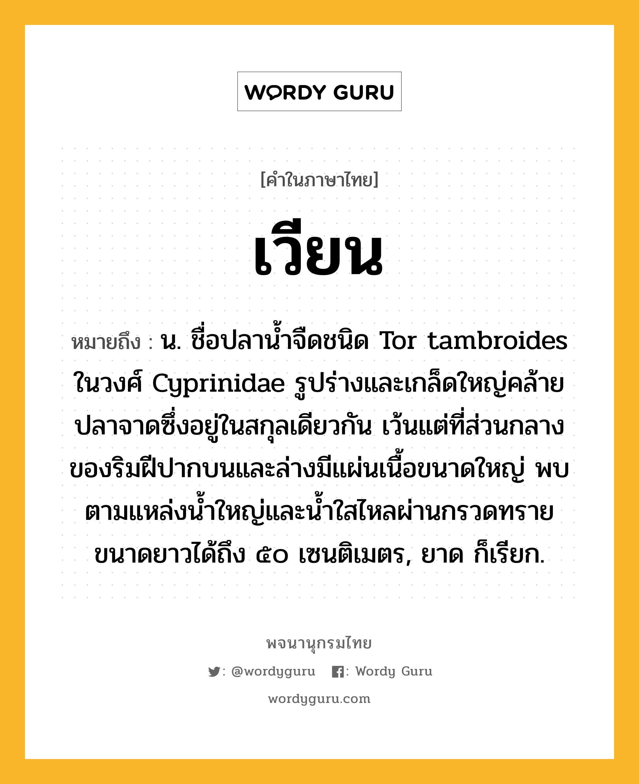 เวียน ความหมาย หมายถึงอะไร?, คำในภาษาไทย เวียน หมายถึง น. ชื่อปลานํ้าจืดชนิด Tor tambroides ในวงศ์ Cyprinidae รูปร่างและเกล็ดใหญ่คล้ายปลาจาดซึ่งอยู่ในสกุลเดียวกัน เว้นแต่ที่ส่วนกลางของริมฝีปากบนและล่างมีแผ่นเนื้อขนาดใหญ่ พบตามแหล่งนํ้าใหญ่และนํ้าใสไหลผ่านกรวดทราย ขนาดยาวได้ถึง ๕๐ เซนติเมตร, ยาด ก็เรียก.