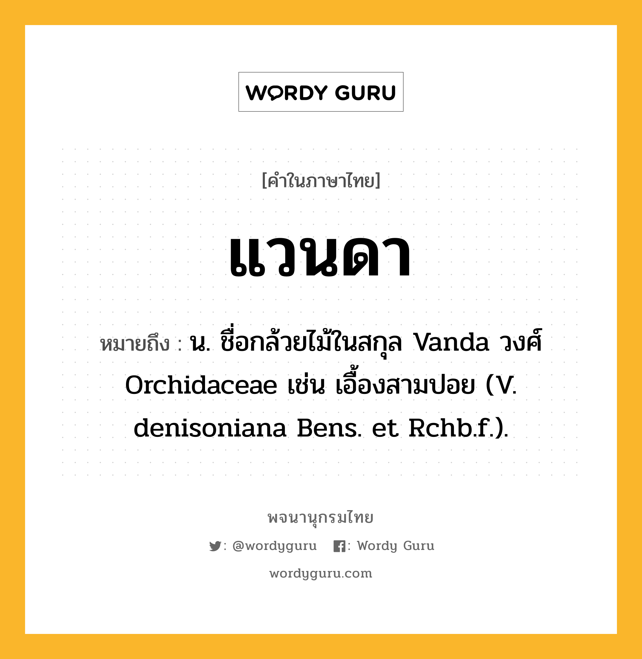 แวนดา ความหมาย หมายถึงอะไร?, คำในภาษาไทย แวนดา หมายถึง น. ชื่อกล้วยไม้ในสกุล Vanda วงศ์ Orchidaceae เช่น เอื้องสามปอย (V. denisoniana Bens. et Rchb.f.).