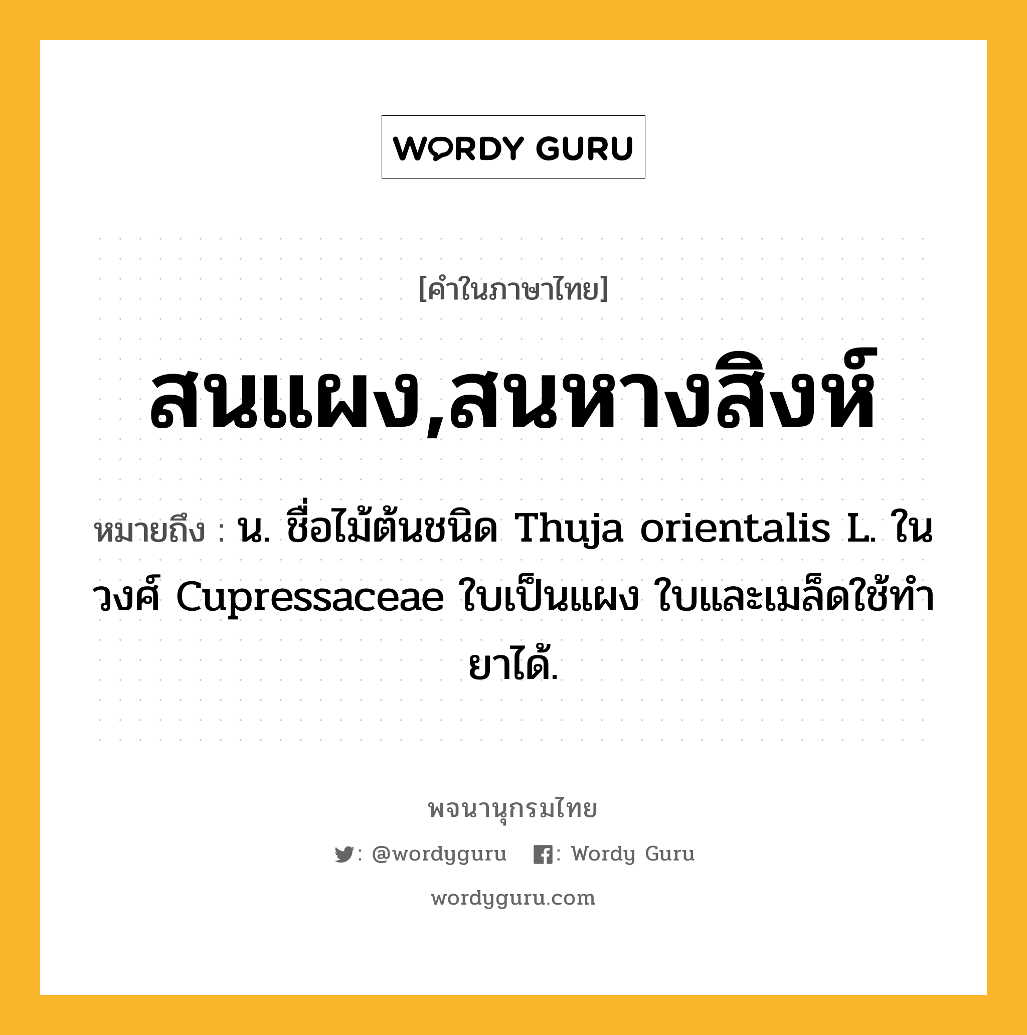 สนแผง,สนหางสิงห์ ความหมาย หมายถึงอะไร?, คำในภาษาไทย สนแผง,สนหางสิงห์ หมายถึง น. ชื่อไม้ต้นชนิด Thuja orientalis L. ในวงศ์ Cupressaceae ใบเป็นแผง ใบและเมล็ดใช้ทํายาได้.