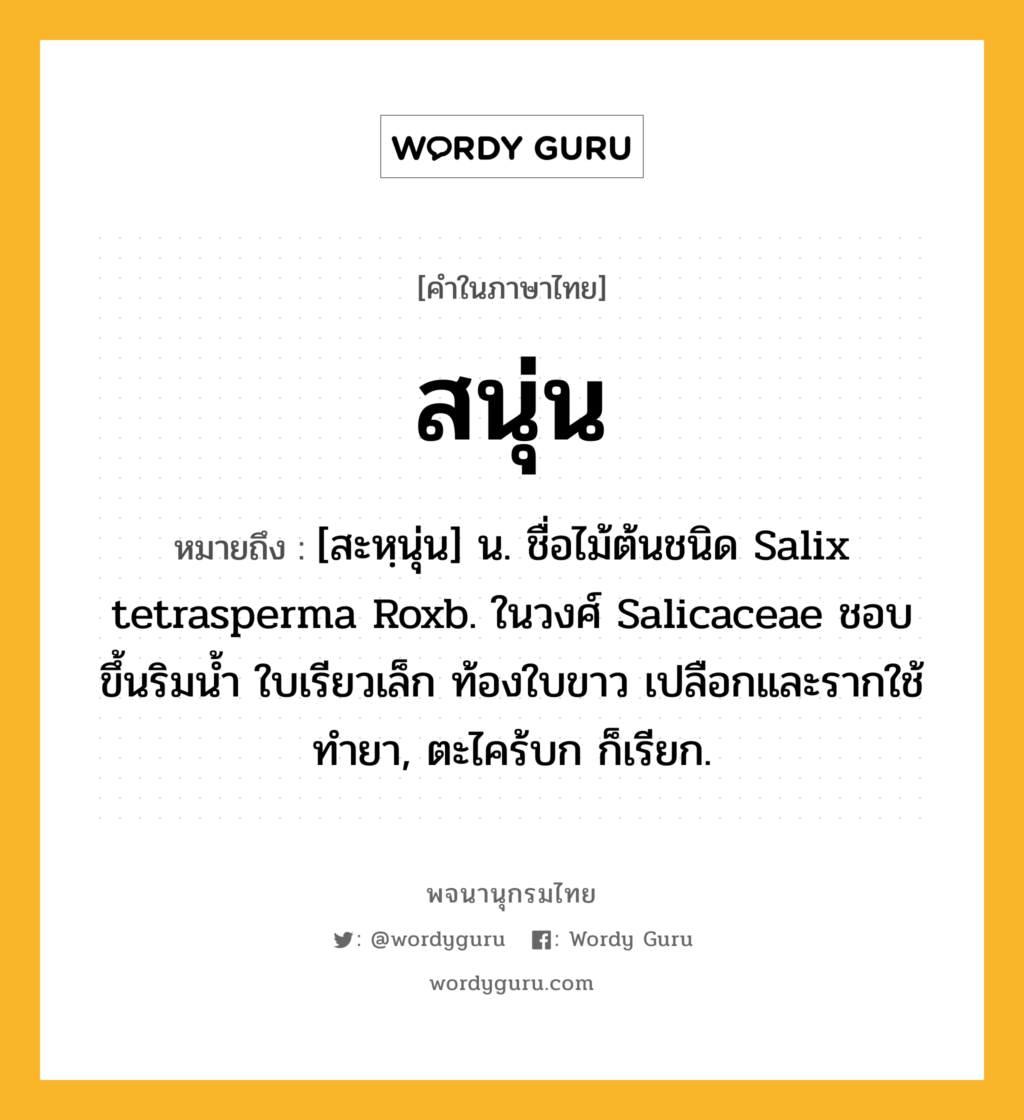 สนุ่น ความหมาย หมายถึงอะไร?, คำในภาษาไทย สนุ่น หมายถึง [สะหฺนุ่น] น. ชื่อไม้ต้นชนิด Salix tetrasperma Roxb. ในวงศ์ Salicaceae ชอบขึ้นริมนํ้า ใบเรียวเล็ก ท้องใบขาว เปลือกและรากใช้ทํายา, ตะไคร้บก ก็เรียก.