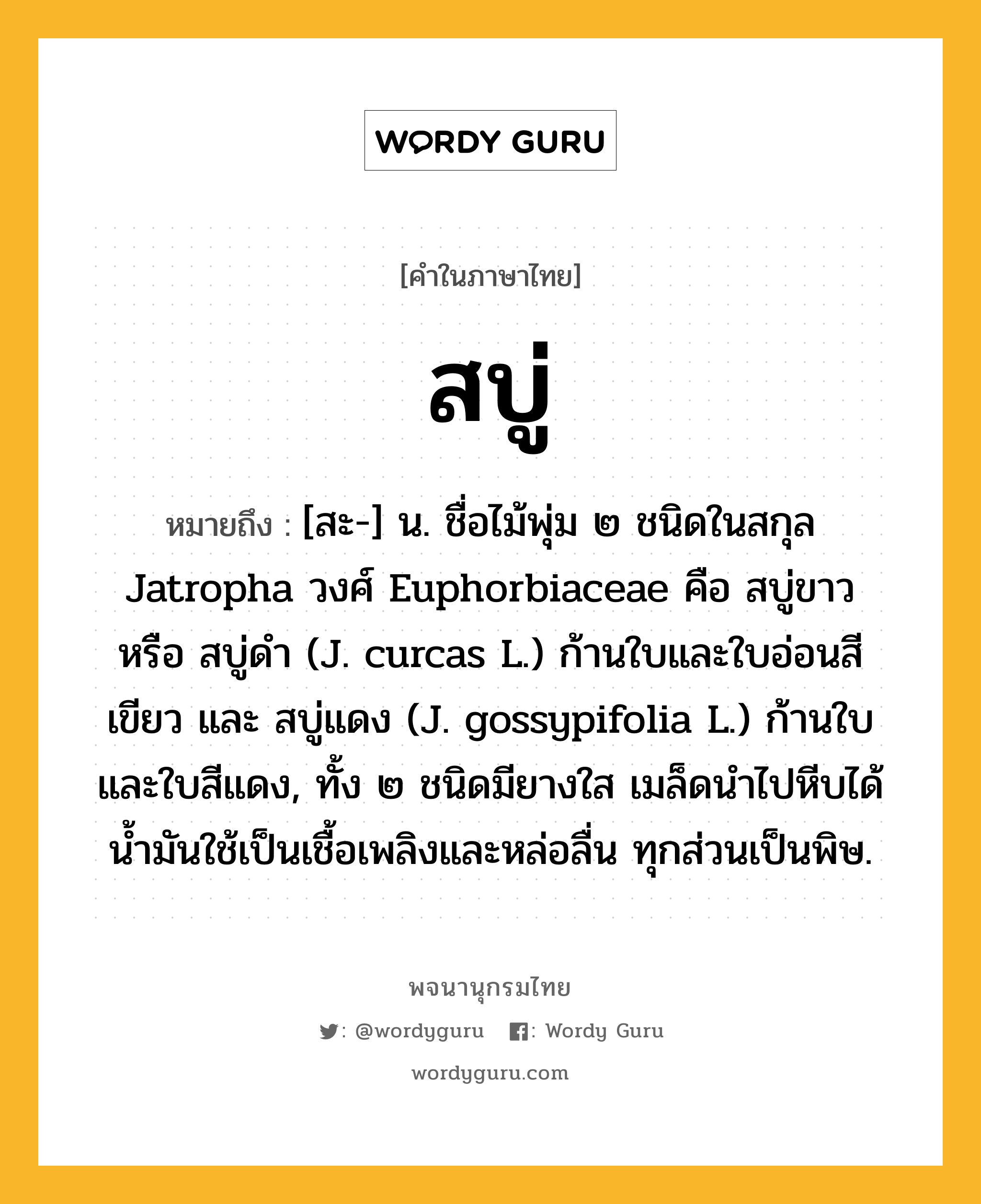 สบู่ ความหมาย หมายถึงอะไร?, คำในภาษาไทย สบู่ หมายถึง [สะ-] น. ชื่อไม้พุ่ม ๒ ชนิดในสกุล Jatropha วงศ์ Euphorbiaceae คือ สบู่ขาว หรือ สบู่ดํา (J. curcas L.) ก้านใบและใบอ่อนสีเขียว และ สบู่แดง (J. gossypifolia L.) ก้านใบและใบสีแดง, ทั้ง ๒ ชนิดมียางใส เมล็ดนําไปหีบได้นํ้ามันใช้เป็นเชื้อเพลิงและหล่อลื่น ทุกส่วนเป็นพิษ.