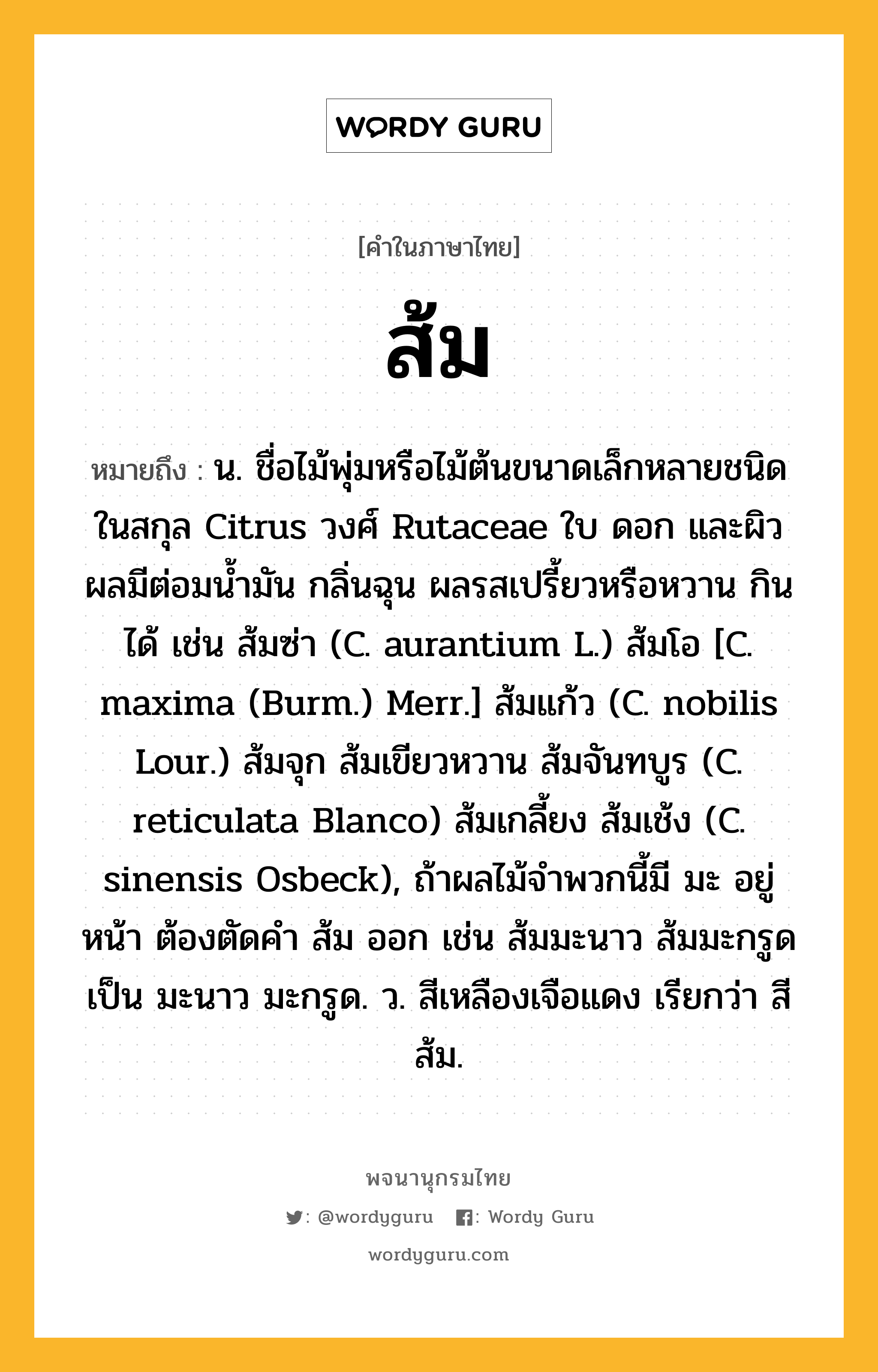 ส้ม ความหมาย หมายถึงอะไร?, คำในภาษาไทย ส้ม หมายถึง น. ชื่อไม้พุ่มหรือไม้ต้นขนาดเล็กหลายชนิดในสกุล Citrus วงศ์ Rutaceae ใบ ดอก และผิวผลมีต่อมนํ้ามัน กลิ่นฉุน ผลรสเปรี้ยวหรือหวาน กินได้ เช่น ส้มซ่า (C. aurantium L.) ส้มโอ [C. maxima (Burm.) Merr.] ส้มแก้ว (C. nobilis Lour.) ส้มจุก ส้มเขียวหวาน ส้มจันทบูร (C. reticulata Blanco) ส้มเกลี้ยง ส้มเช้ง (C. sinensis Osbeck), ถ้าผลไม้จําพวกนี้มี มะ อยู่หน้า ต้องตัดคํา ส้ม ออก เช่น ส้มมะนาว ส้มมะกรูด เป็น มะนาว มะกรูด. ว. สีเหลืองเจือแดง เรียกว่า สีส้ม.