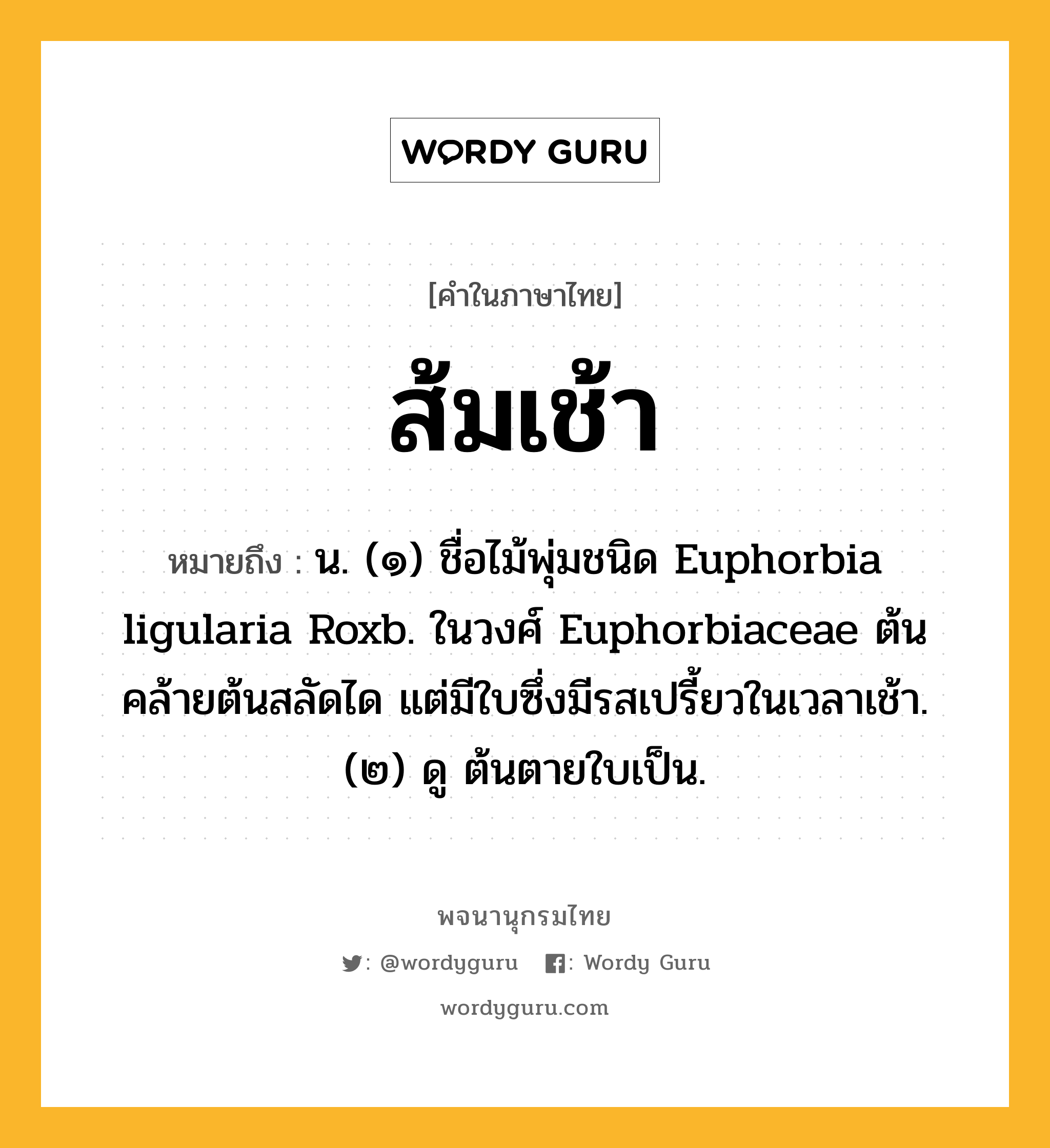 ส้มเช้า ความหมาย หมายถึงอะไร?, คำในภาษาไทย ส้มเช้า หมายถึง น. (๑) ชื่อไม้พุ่มชนิด Euphorbia ligularia Roxb. ในวงศ์ Euphorbiaceae ต้นคล้ายต้นสลัดได แต่มีใบซึ่งมีรสเปรี้ยวในเวลาเช้า. (๒) ดู ต้นตายใบเป็น.