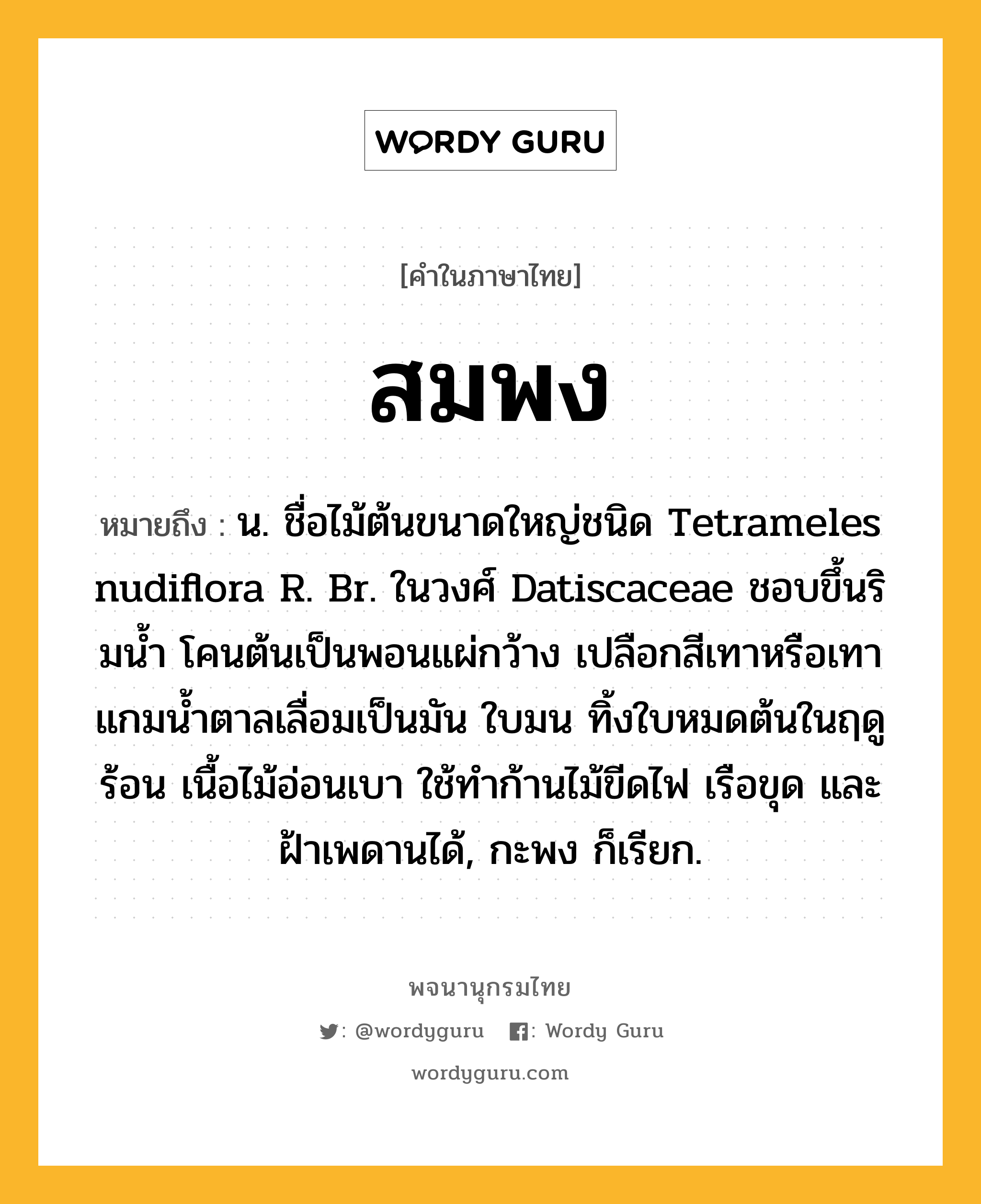 สมพง ความหมาย หมายถึงอะไร?, คำในภาษาไทย สมพง หมายถึง น. ชื่อไม้ต้นขนาดใหญ่ชนิด Tetrameles nudiflora R. Br. ในวงศ์ Datiscaceae ชอบขึ้นริมนํ้า โคนต้นเป็นพอนแผ่กว้าง เปลือกสีเทาหรือเทาแกมน้ำตาลเลื่อมเป็นมัน ใบมน ทิ้งใบหมดต้นในฤดูร้อน เนื้อไม้อ่อนเบา ใช้ทําก้านไม้ขีดไฟ เรือขุด และฝ้าเพดานได้, กะพง ก็เรียก.