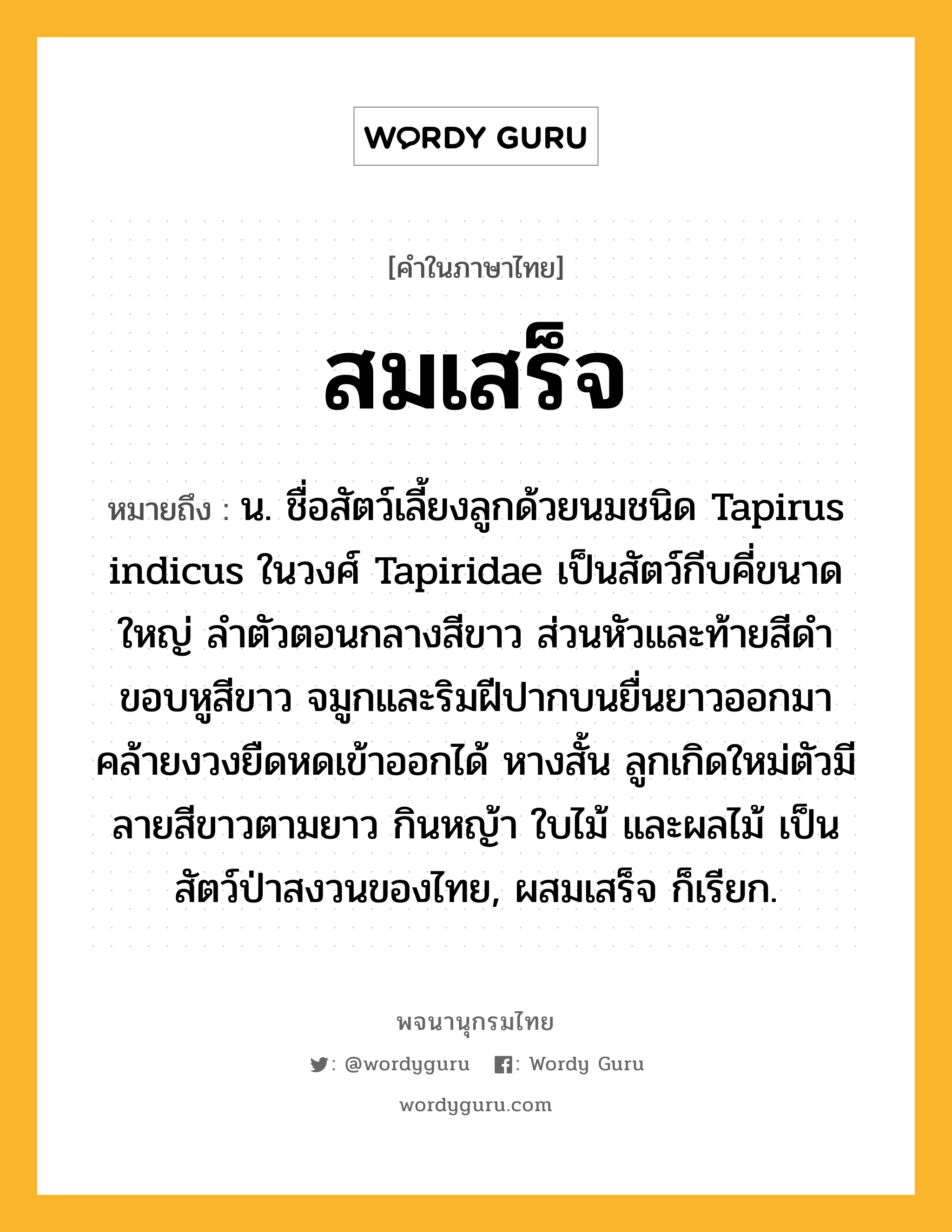 สมเสร็จ ความหมาย หมายถึงอะไร?, คำในภาษาไทย สมเสร็จ หมายถึง น. ชื่อสัตว์เลี้ยงลูกด้วยนมชนิด Tapirus indicus ในวงศ์ Tapiridae เป็นสัตว์กีบคี่ขนาดใหญ่ ลําตัวตอนกลางสีขาว ส่วนหัวและท้ายสีดํา ขอบหูสีขาว จมูกและริมฝีปากบนยื่นยาวออกมาคล้ายงวงยืดหดเข้าออกได้ หางสั้น ลูกเกิดใหม่ตัวมีลายสีขาวตามยาว กินหญ้า ใบไม้ และผลไม้ เป็นสัตว์ป่าสงวนของไทย, ผสมเสร็จ ก็เรียก.