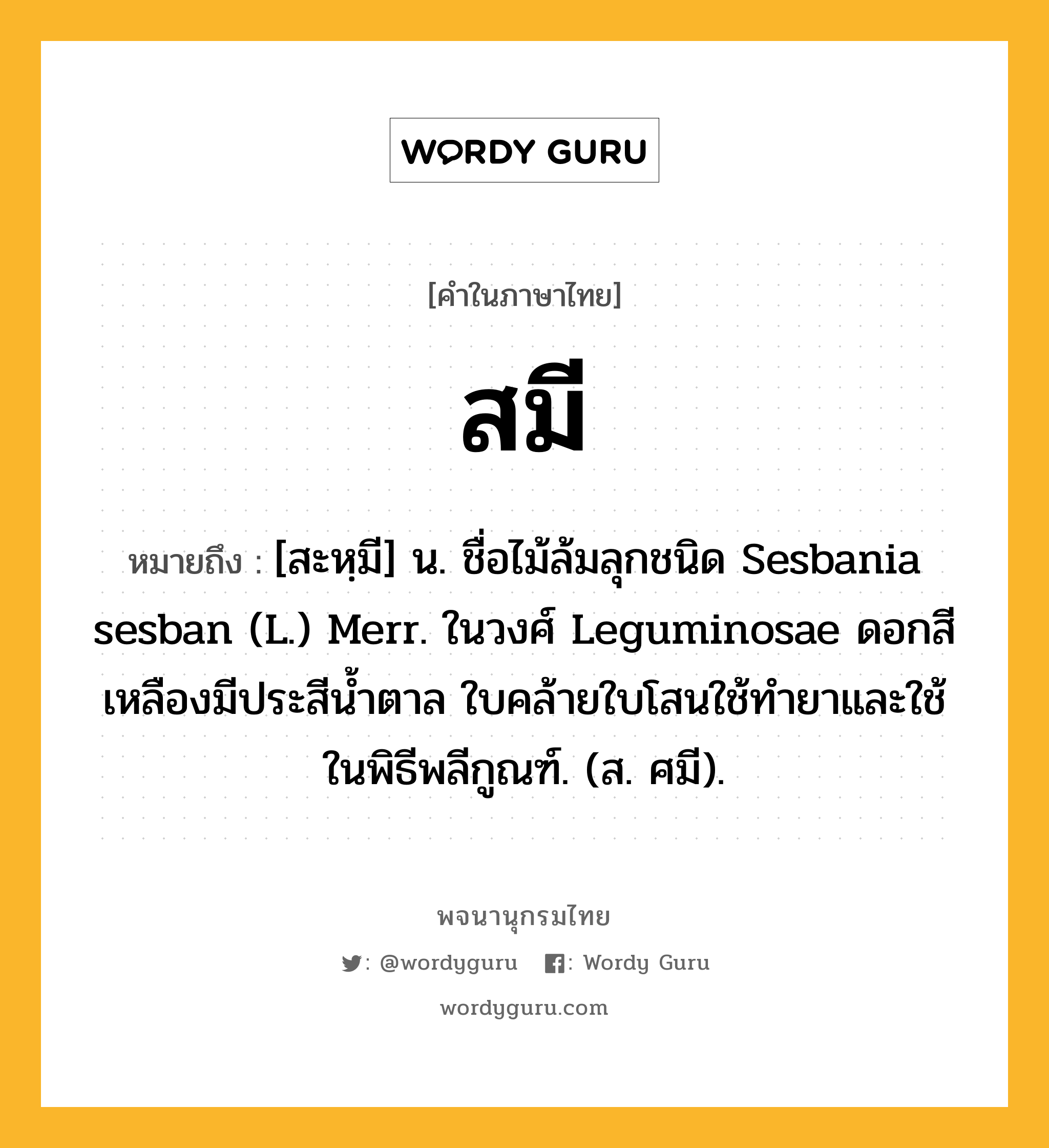 สมี ความหมาย หมายถึงอะไร?, คำในภาษาไทย สมี หมายถึง [สะหฺมี] น. ชื่อไม้ล้มลุกชนิด Sesbania sesban (L.) Merr. ในวงศ์ Leguminosae ดอกสีเหลืองมีประสีนํ้าตาล ใบคล้ายใบโสนใช้ทํายาและใช้ในพิธีพลีกูณฑ์. (ส. ศมี).