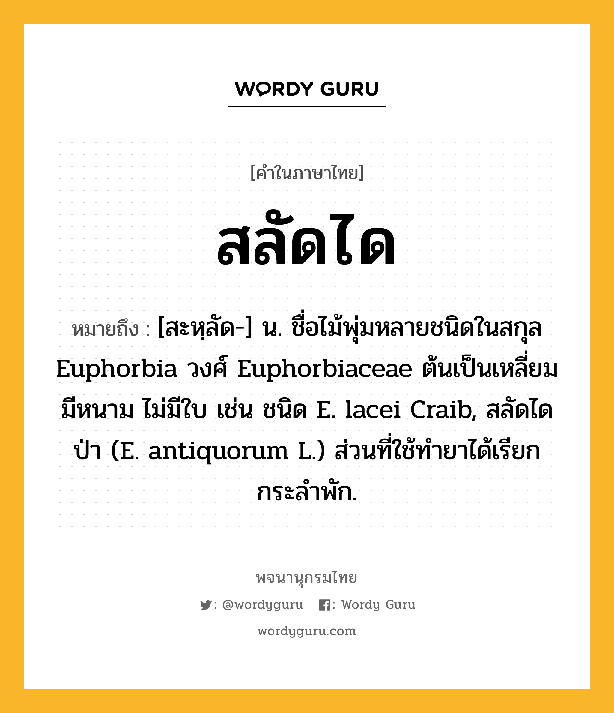 สลัดได ความหมาย หมายถึงอะไร?, คำในภาษาไทย สลัดได หมายถึง [สะหฺลัด-] น. ชื่อไม้พุ่มหลายชนิดในสกุล Euphorbia วงศ์ Euphorbiaceae ต้นเป็นเหลี่ยม มีหนาม ไม่มีใบ เช่น ชนิด E. lacei Craib, สลัดไดป่า (E. antiquorum L.) ส่วนที่ใช้ทํายาได้เรียก กระลําพัก.