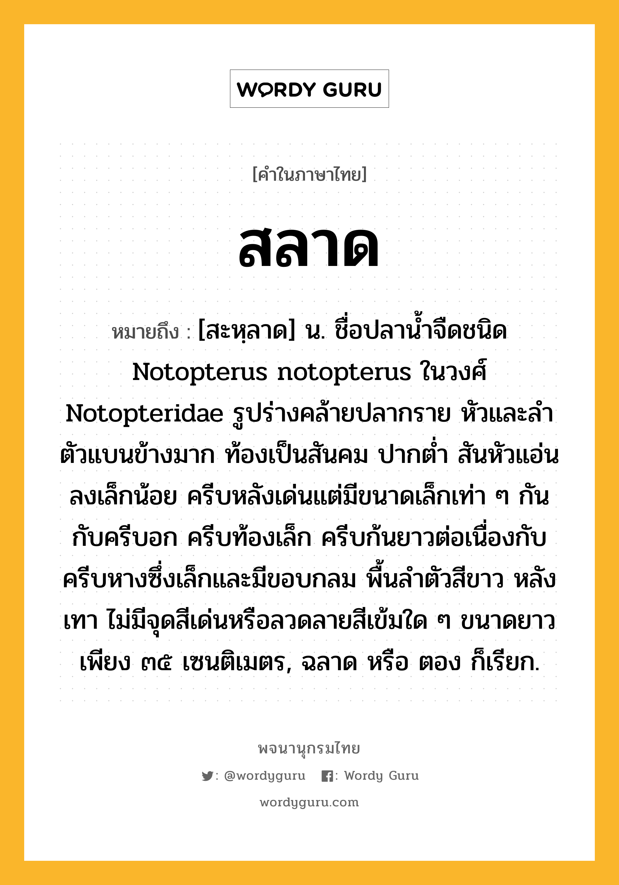 สลาด ความหมาย หมายถึงอะไร?, คำในภาษาไทย สลาด หมายถึง [สะหฺลาด] น. ชื่อปลานํ้าจืดชนิด Notopterus notopterus ในวงศ์ Notopteridae รูปร่างคล้ายปลากราย หัวและลําตัวแบนข้างมาก ท้องเป็นสันคม ปากตํ่า สันหัวแอ่นลงเล็กน้อย ครีบหลังเด่นแต่มีขนาดเล็กเท่า ๆ กันกับครีบอก ครีบท้องเล็ก ครีบก้นยาวต่อเนื่องกับครีบหางซึ่งเล็กและมีขอบกลม พื้นลําตัวสีขาว หลังเทา ไม่มีจุดสีเด่นหรือลวดลายสีเข้มใด ๆ ขนาดยาวเพียง ๓๕ เซนติเมตร, ฉลาด หรือ ตอง ก็เรียก.