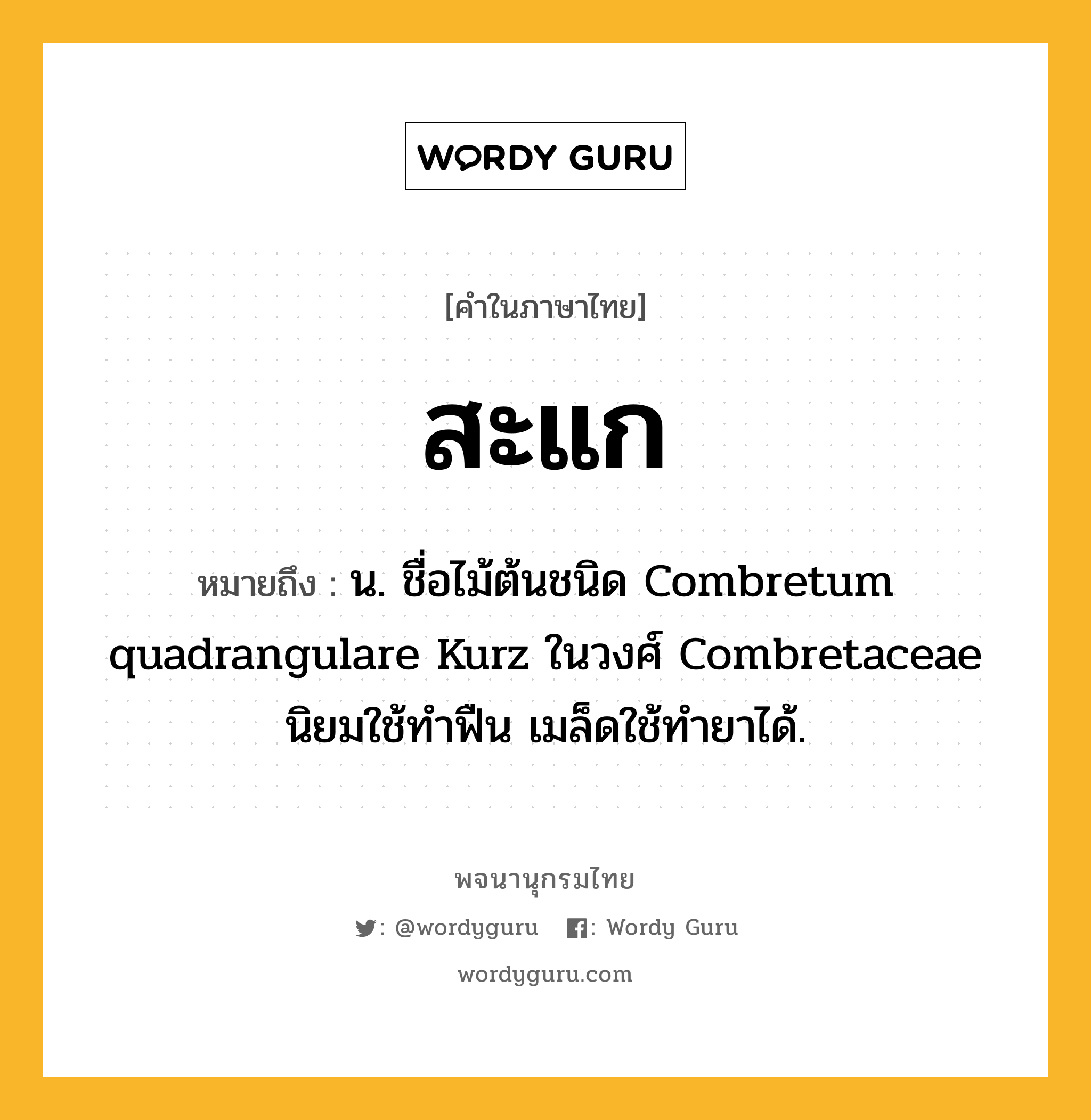 สะแก ความหมาย หมายถึงอะไร?, คำในภาษาไทย สะแก หมายถึง น. ชื่อไม้ต้นชนิด Combretum quadrangulare Kurz ในวงศ์ Combretaceae นิยมใช้ทําฟืน เมล็ดใช้ทํายาได้.