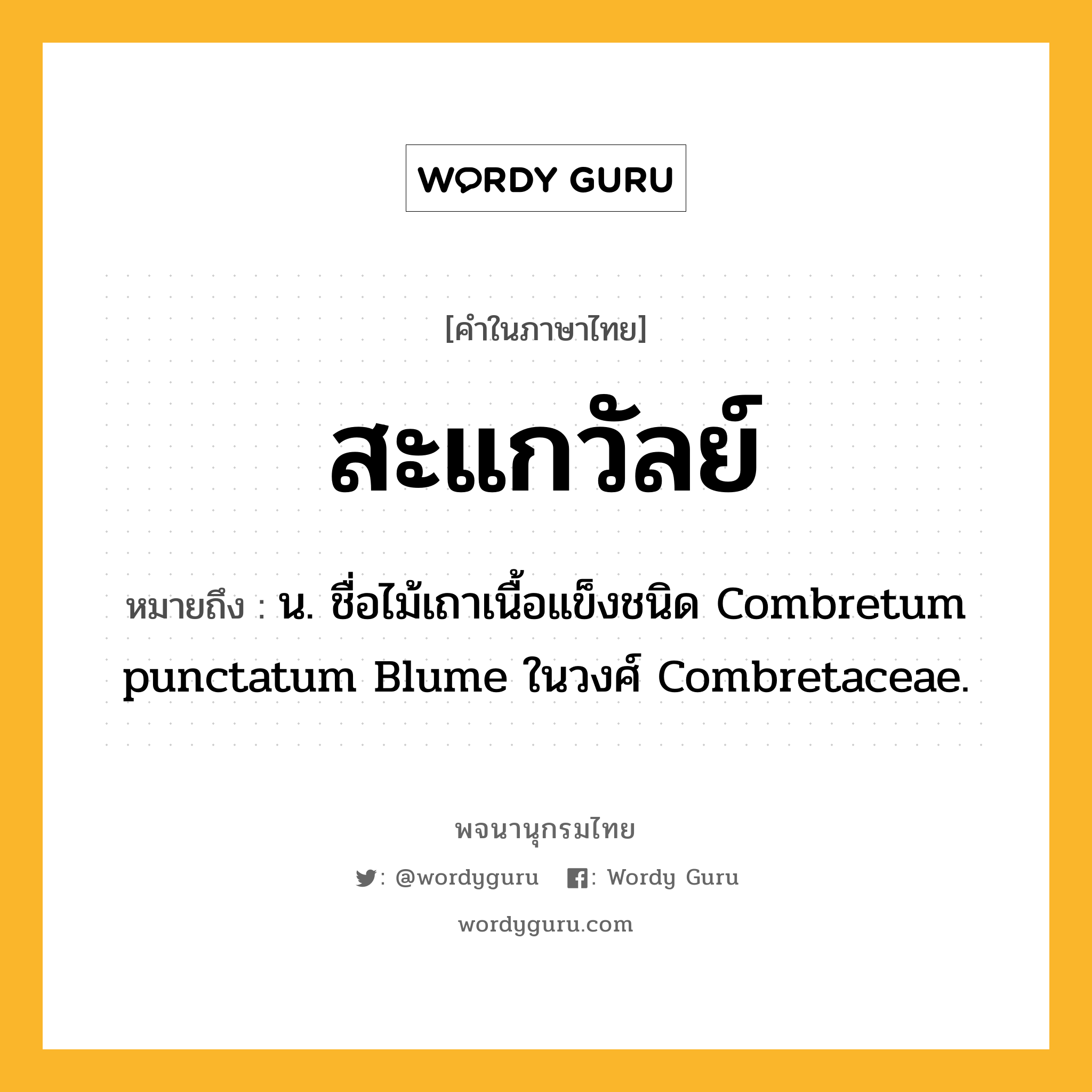 สะแกวัลย์ ความหมาย หมายถึงอะไร?, คำในภาษาไทย สะแกวัลย์ หมายถึง น. ชื่อไม้เถาเนื้อแข็งชนิด Combretum punctatum Blume ในวงศ์ Combretaceae.